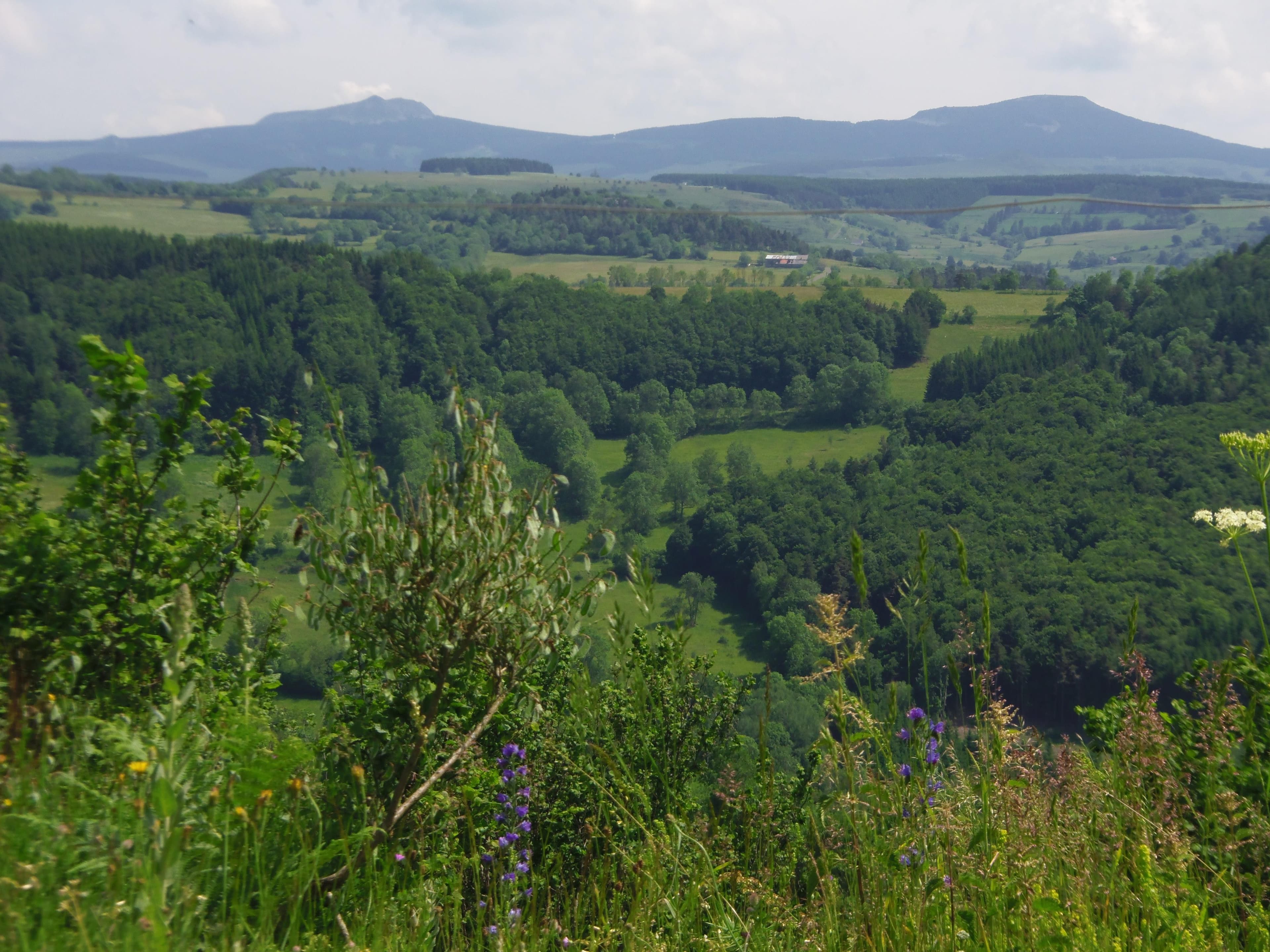 A scenery from Auberge & Camping Sabatoux