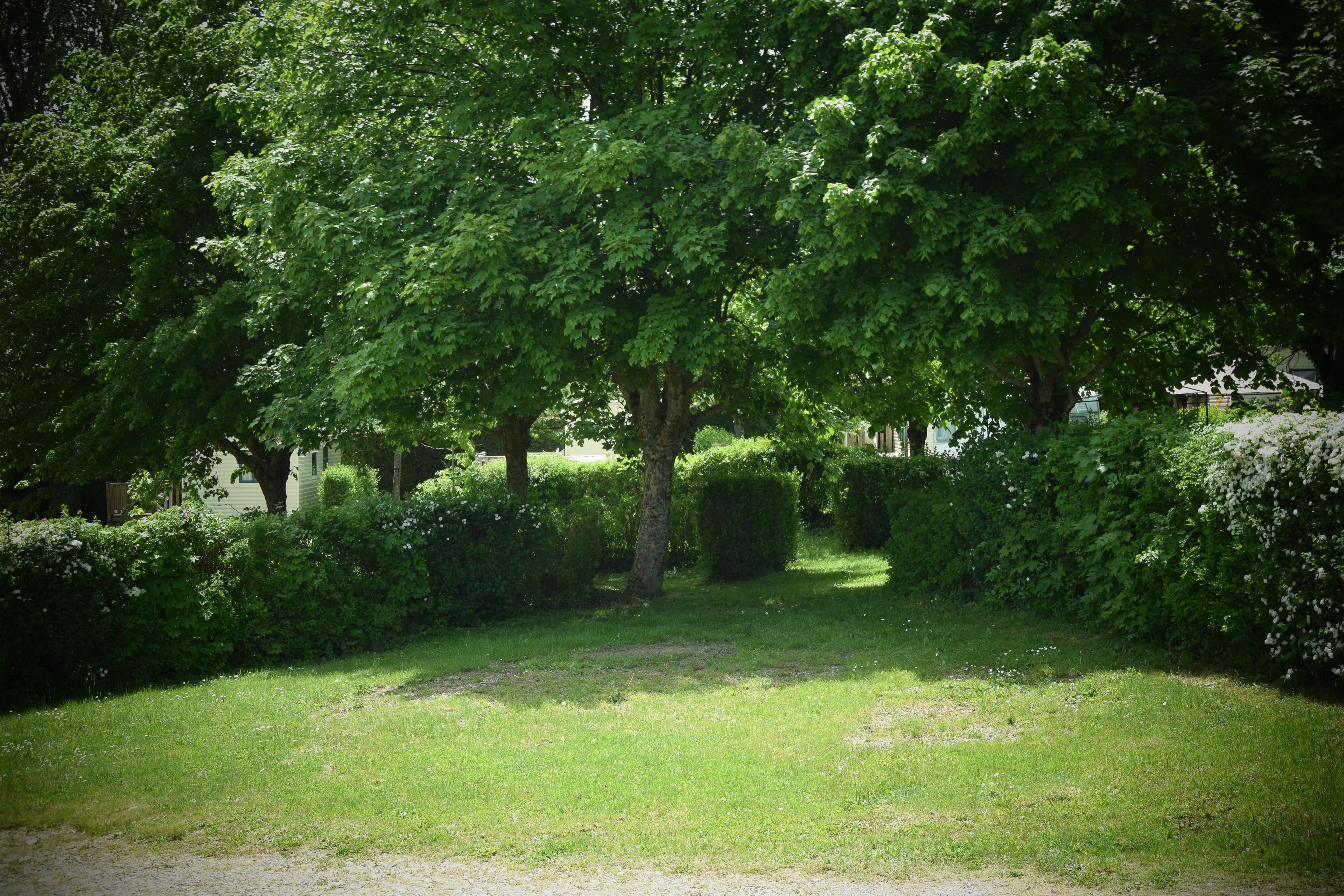 A scenery from Camping de la Belle Etoile