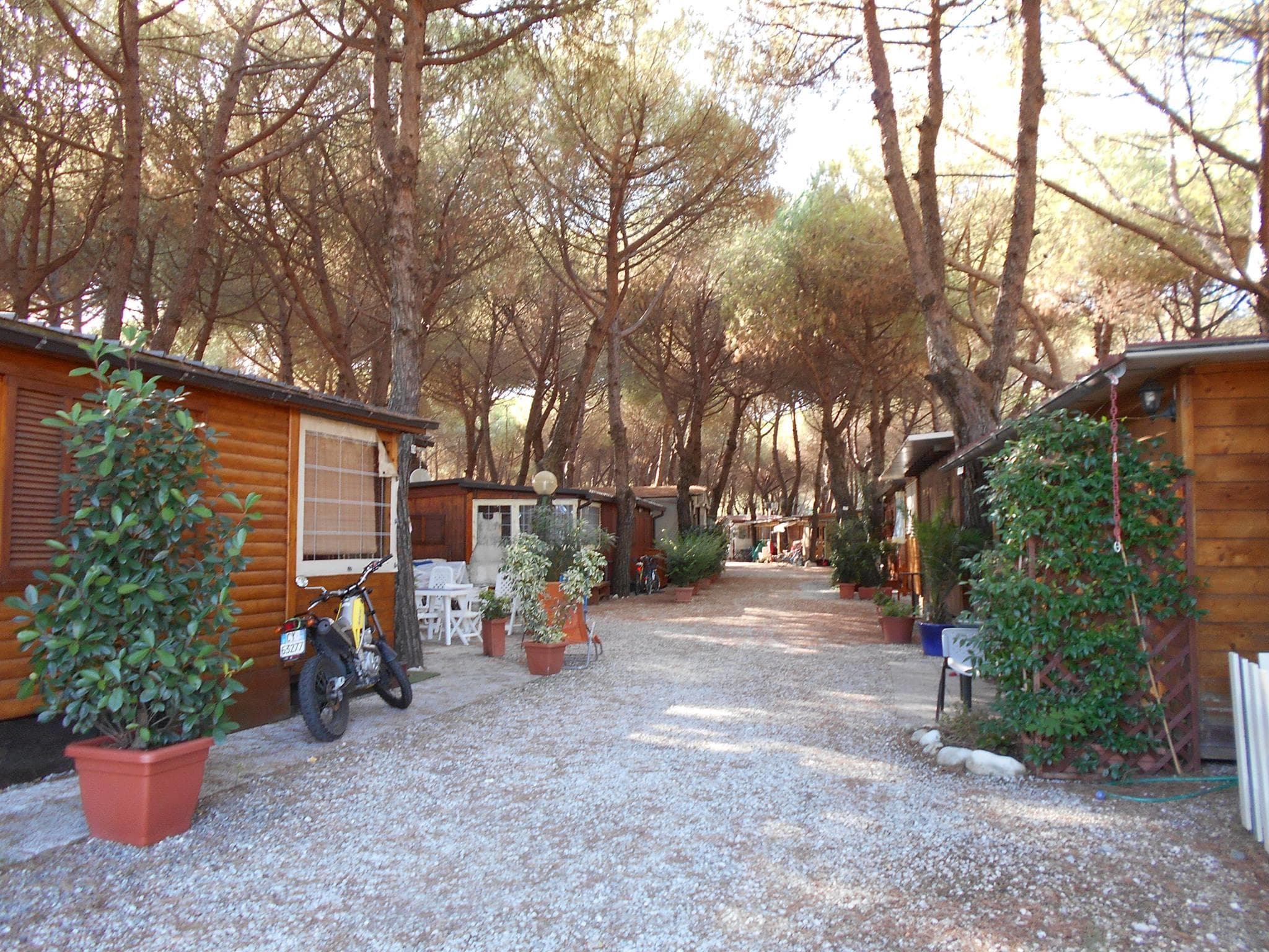A scenery from Iron Gate Marina 3B