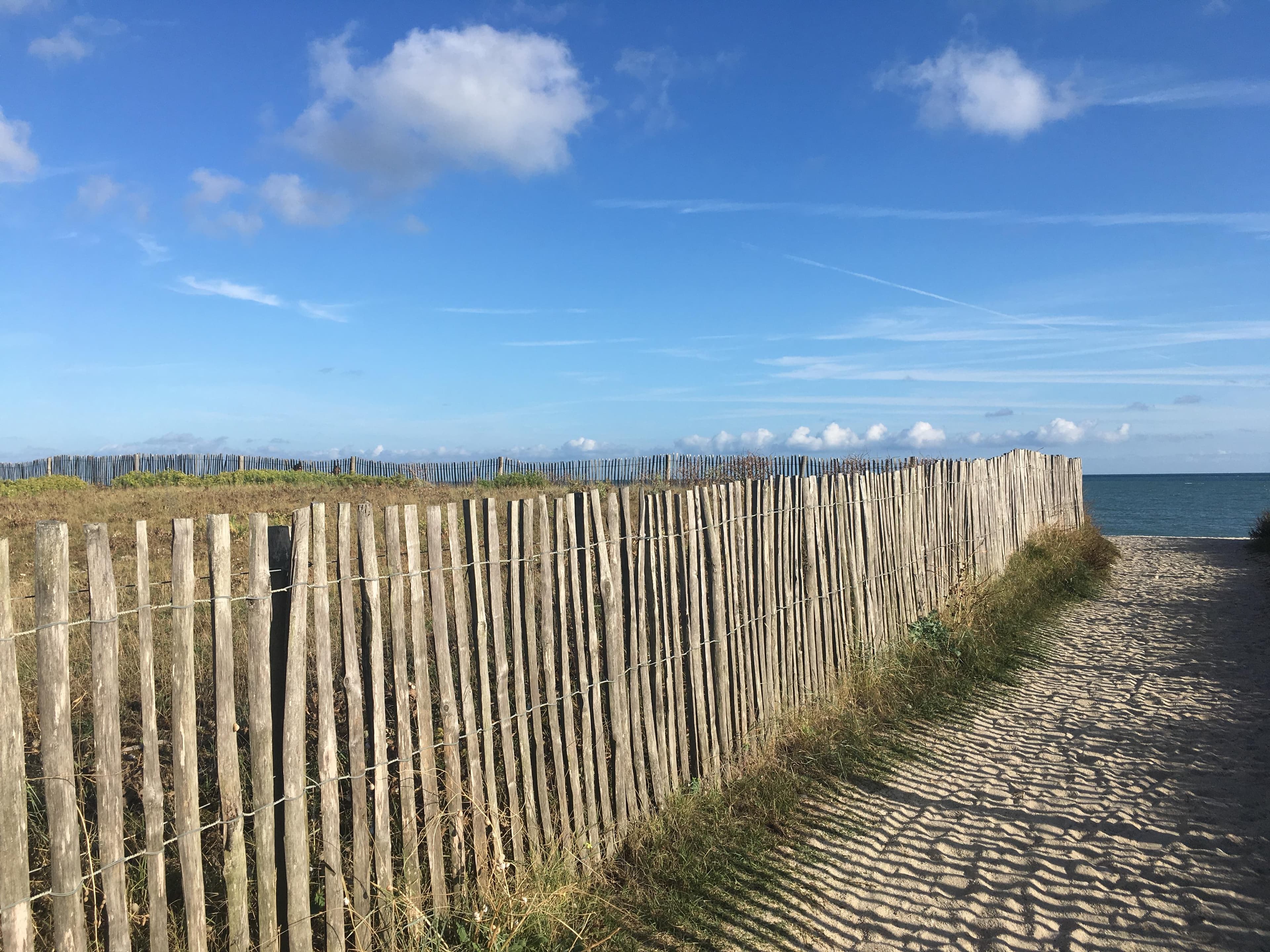 A scenery from Camping LES MOUETTES