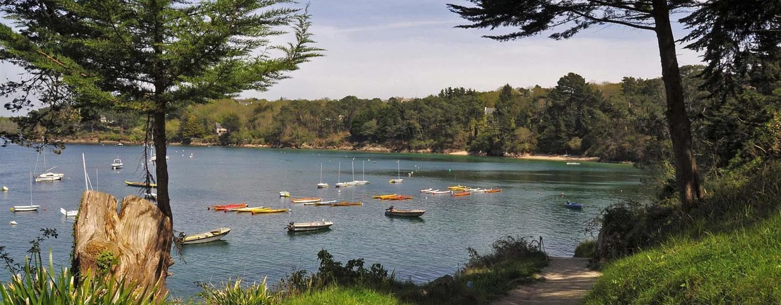 A scenery from Camping LA GRANDE LANDE