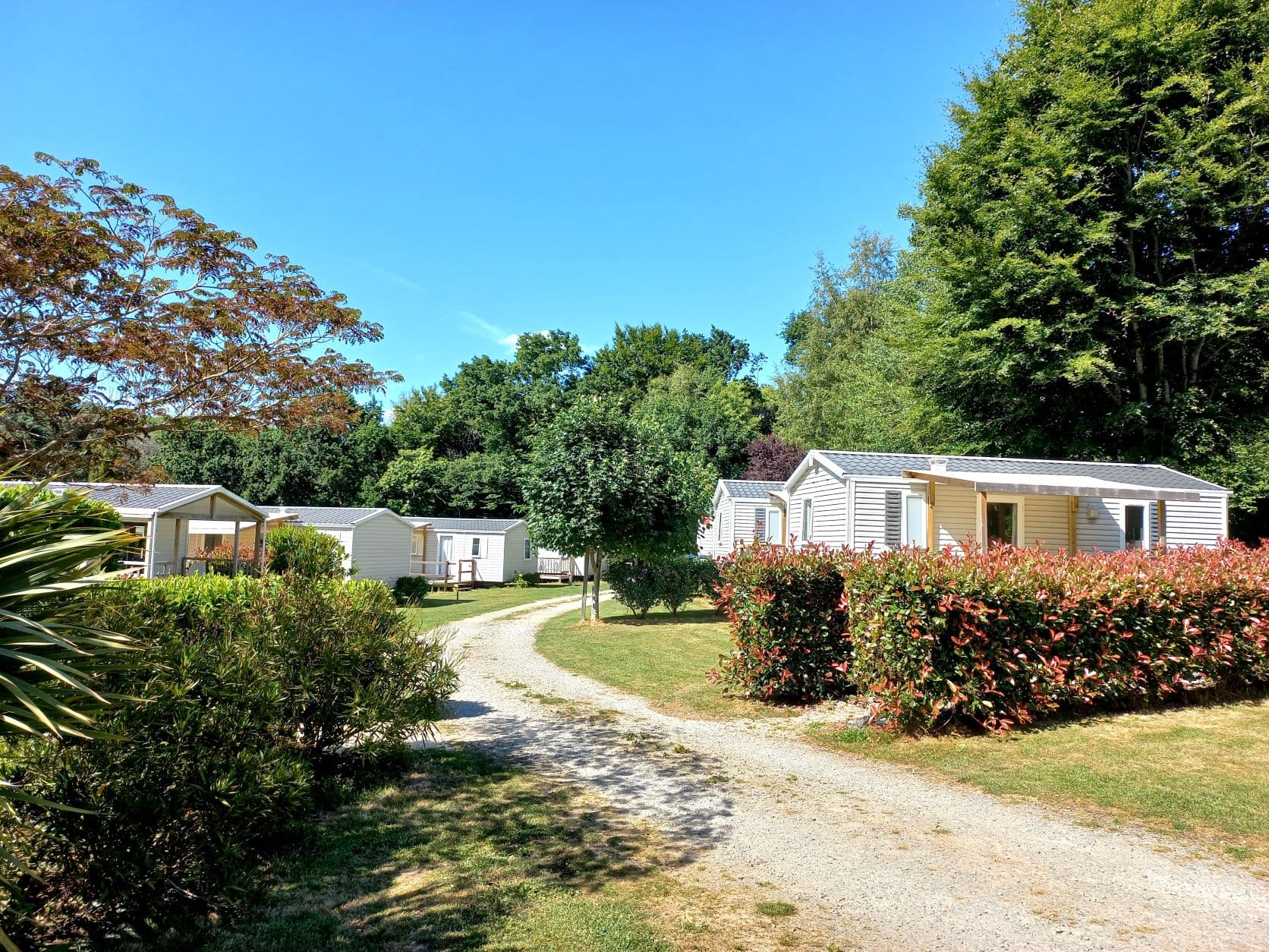 A scenery from Camping des Cerisiers