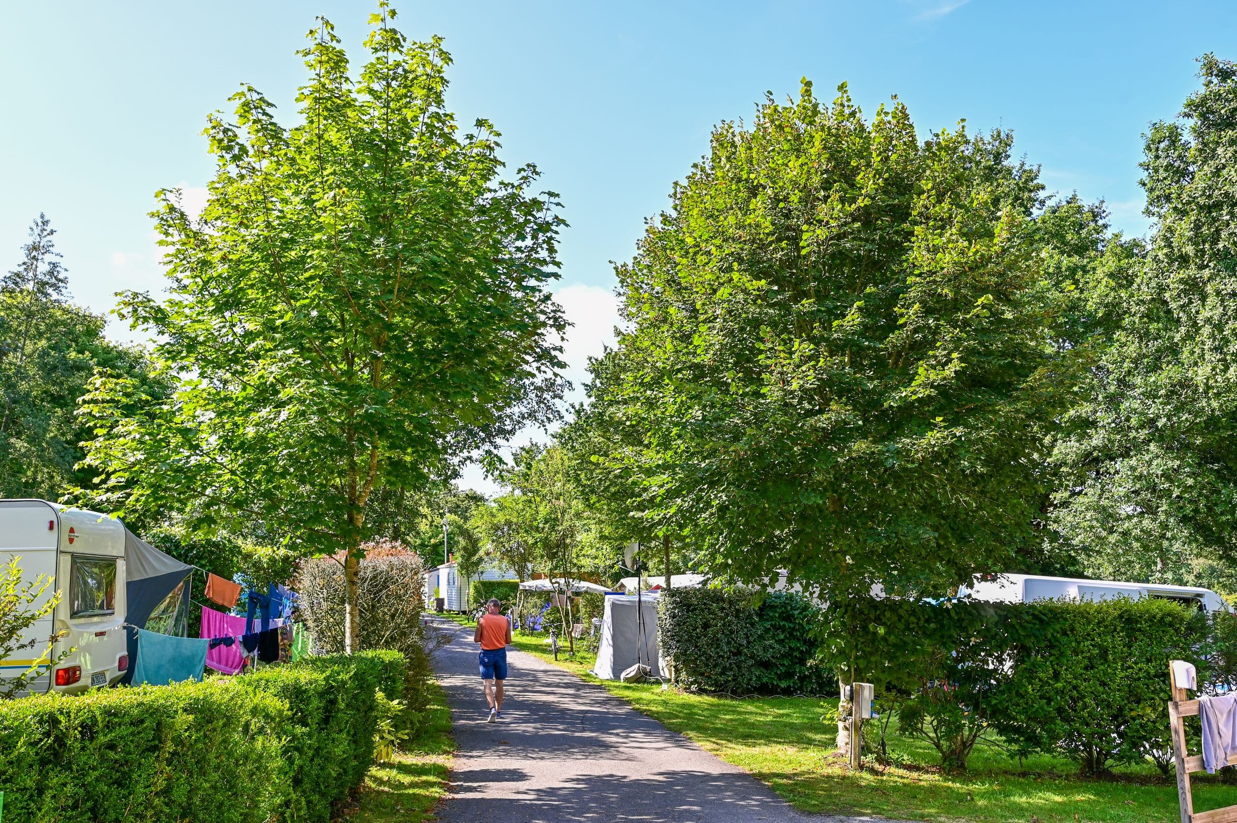 A scenery from Flower Camping La Blanche Hermine