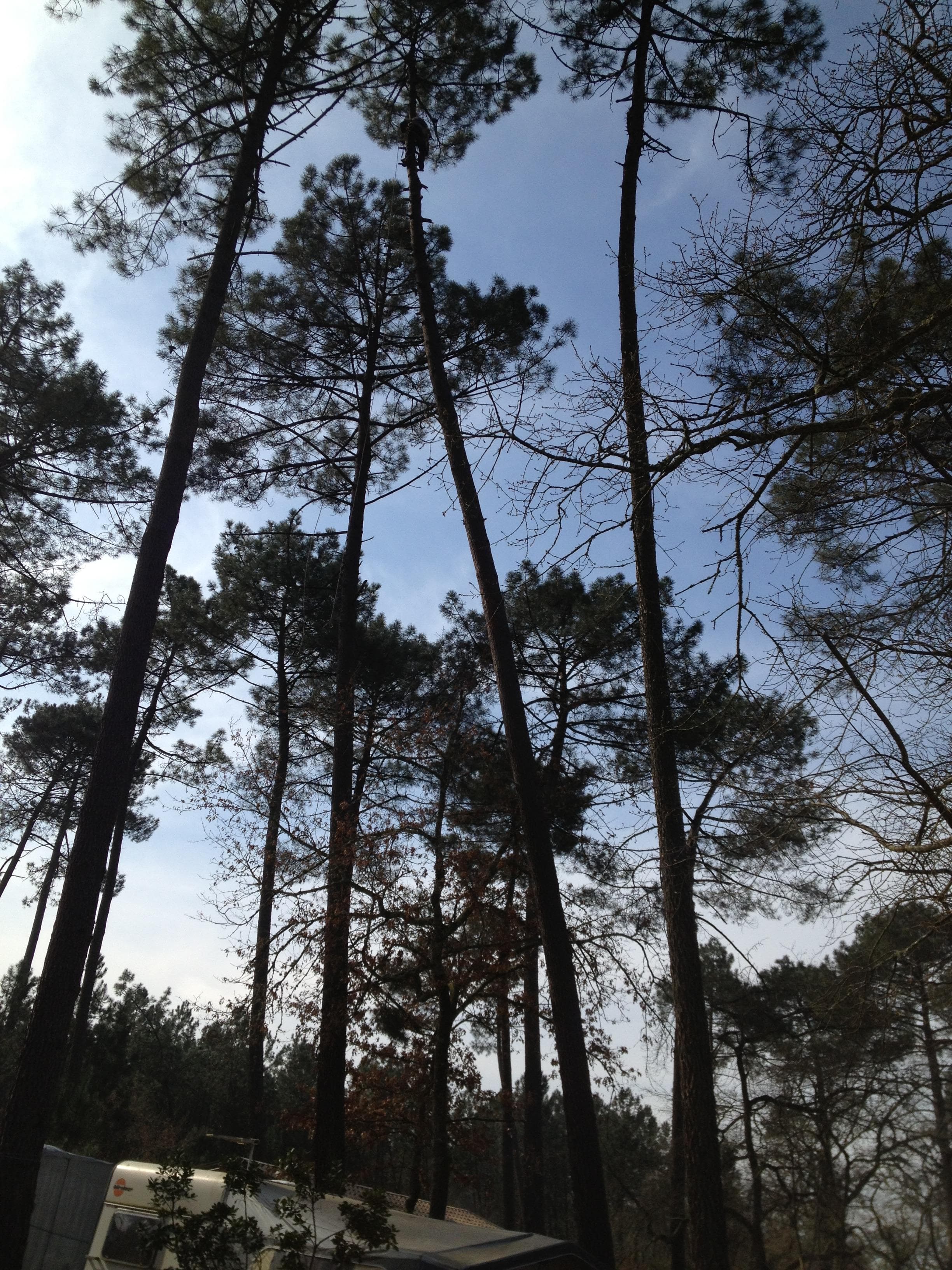 A scenery from Camping Vert Bord'Eau