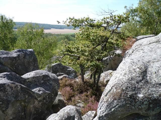 A scenery from Camping LE NID VERT