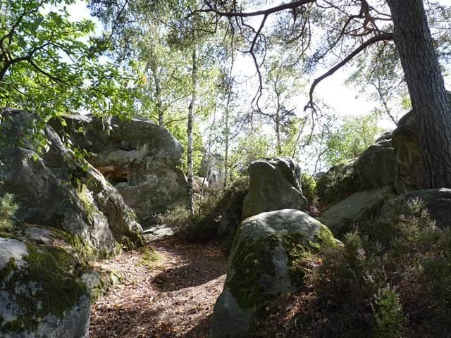 A scenery from Camping LE NID VERT
