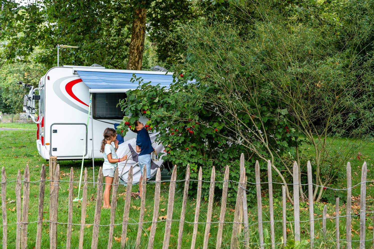 A scenery from Camping L'Escale de Loire