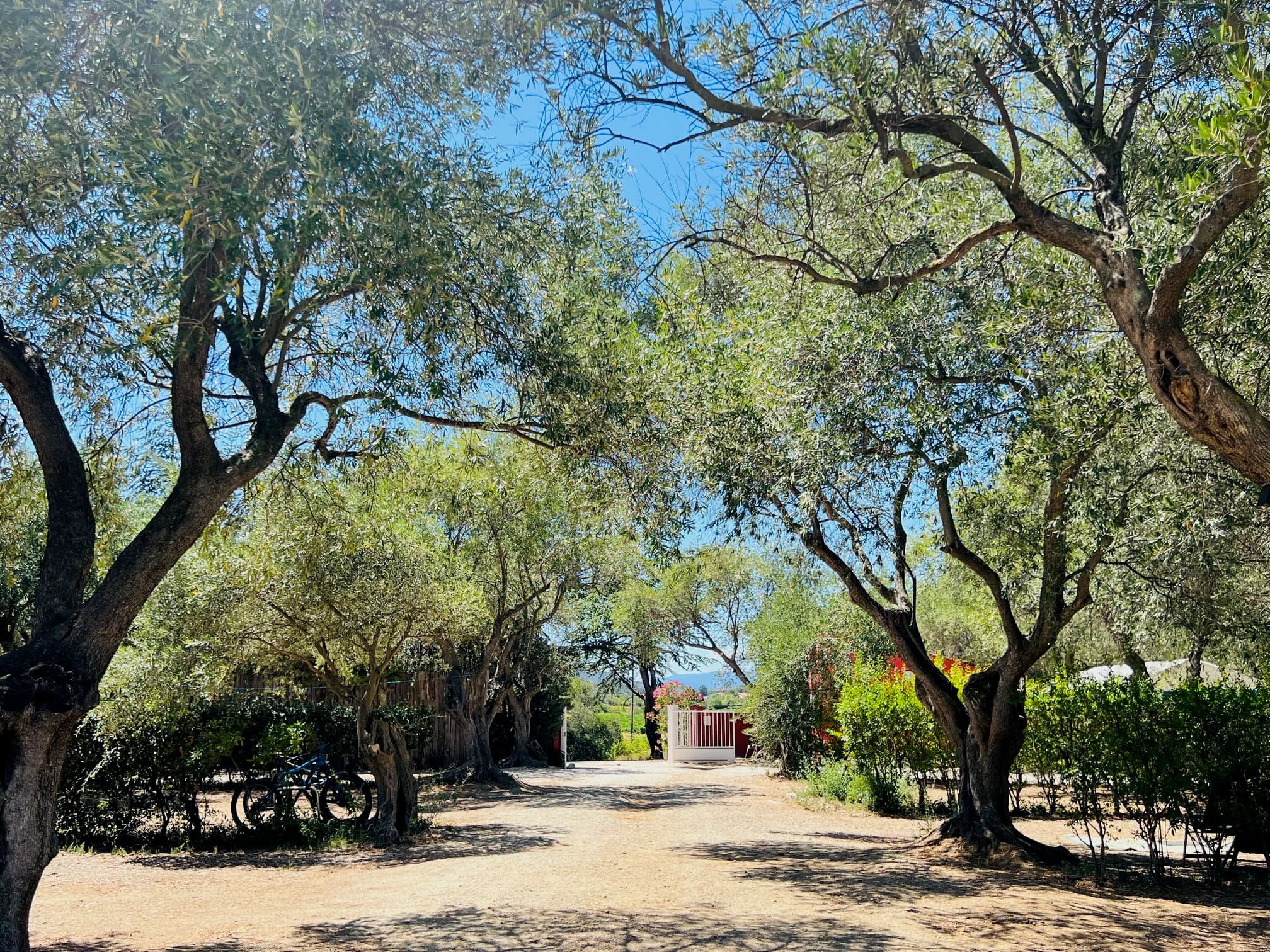 A scenery from Camping Le Maurynate