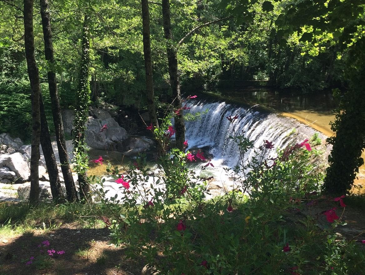 A scenery from Camping La Salendrinque