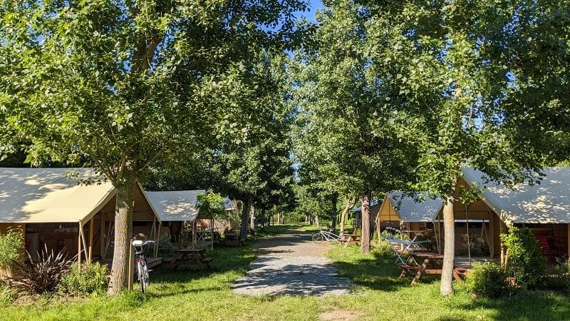 A scenery from Camping Le Montet d'Oléron