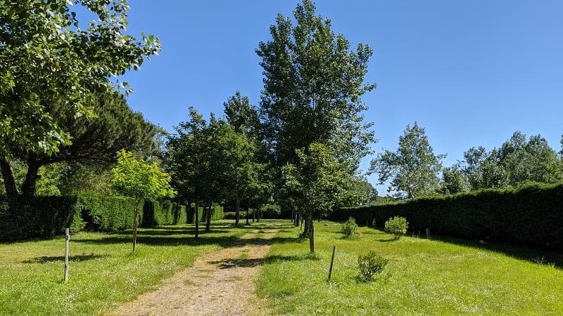 A scenery from Camping Le Montet d'Oléron