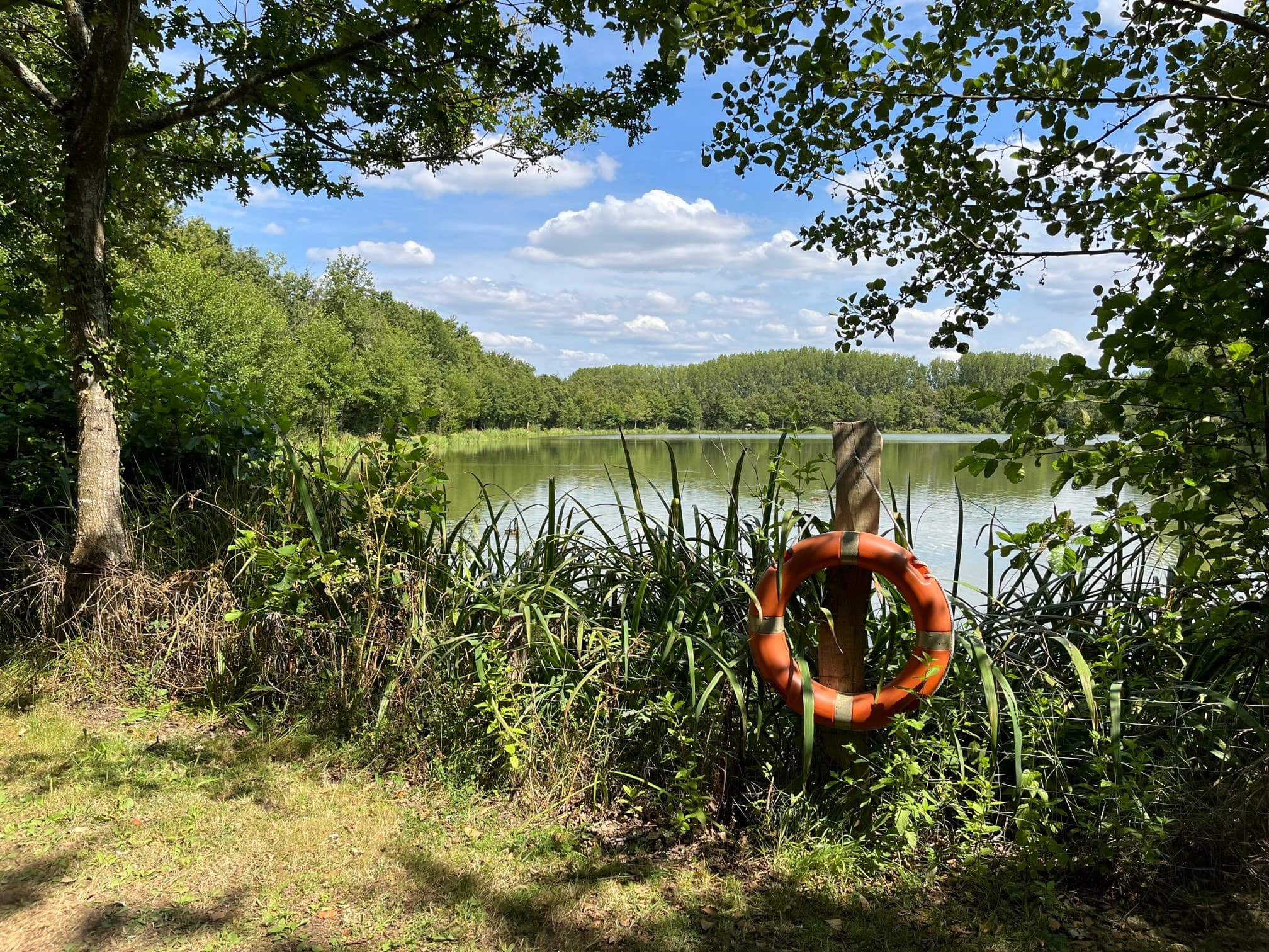 A scenery from Campilo