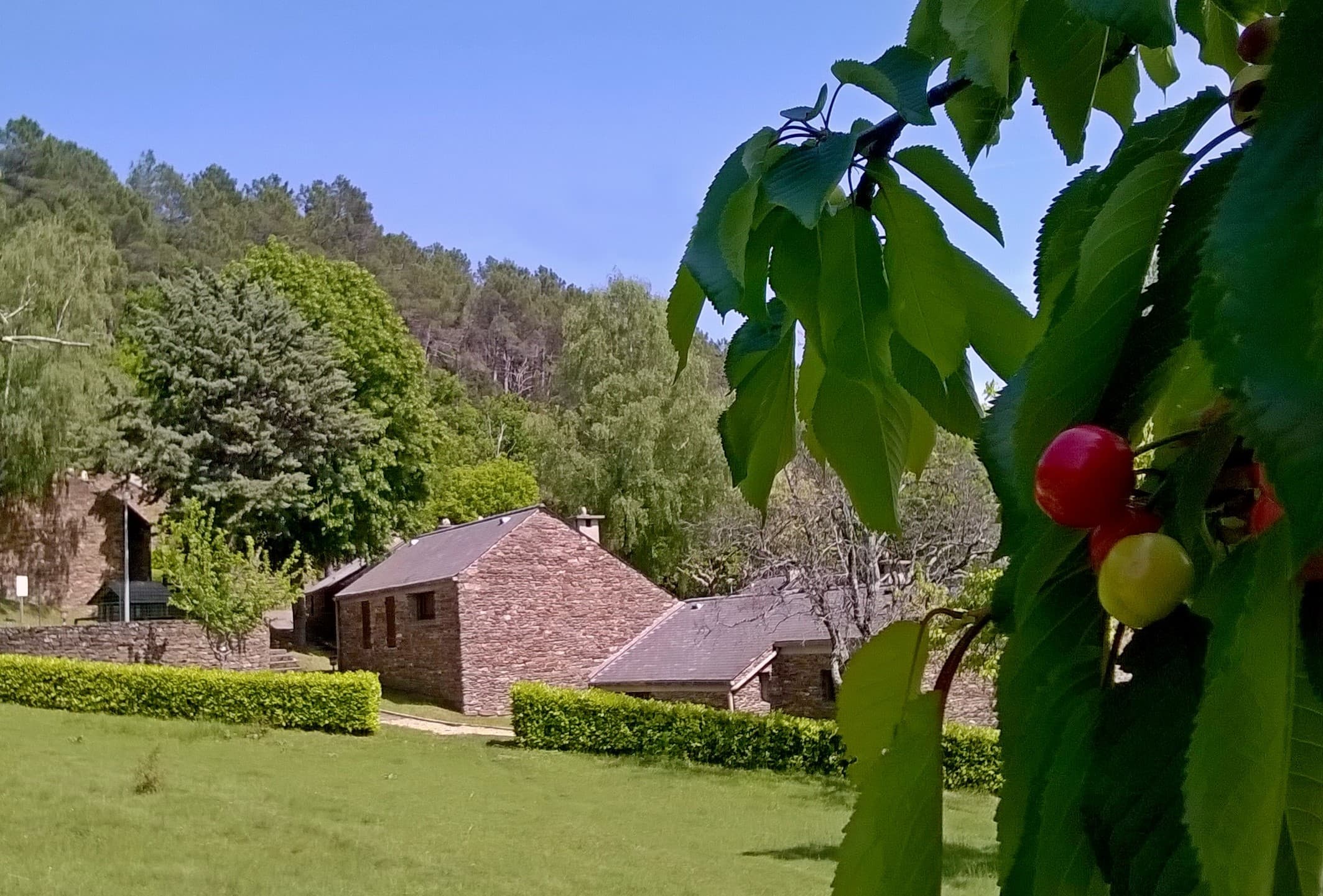 A scenery from Village de gîtes et de vacances*** Les Hauts de Saint Privat