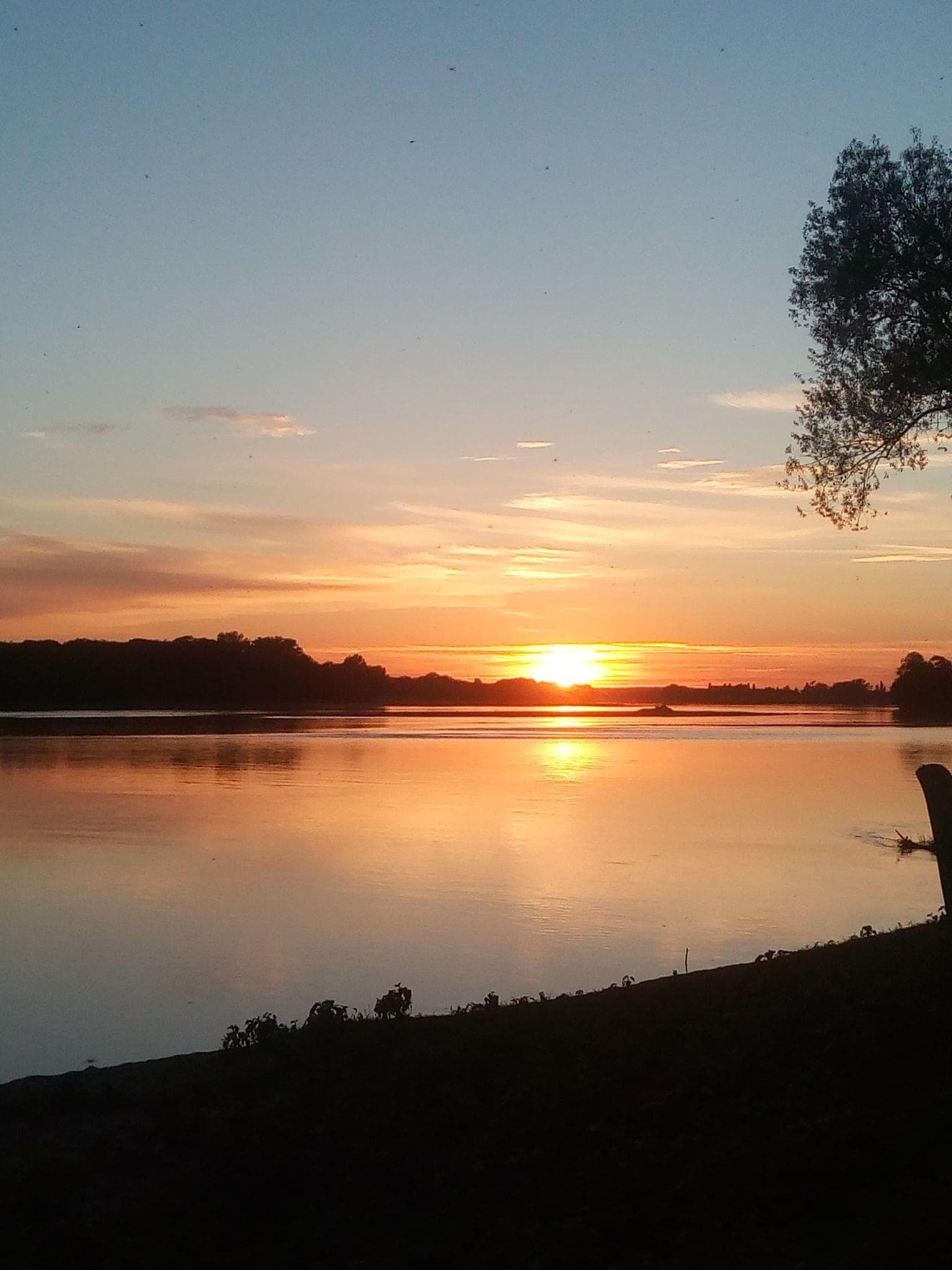 A scenery from CAMPING TERRE D'ENTENTE