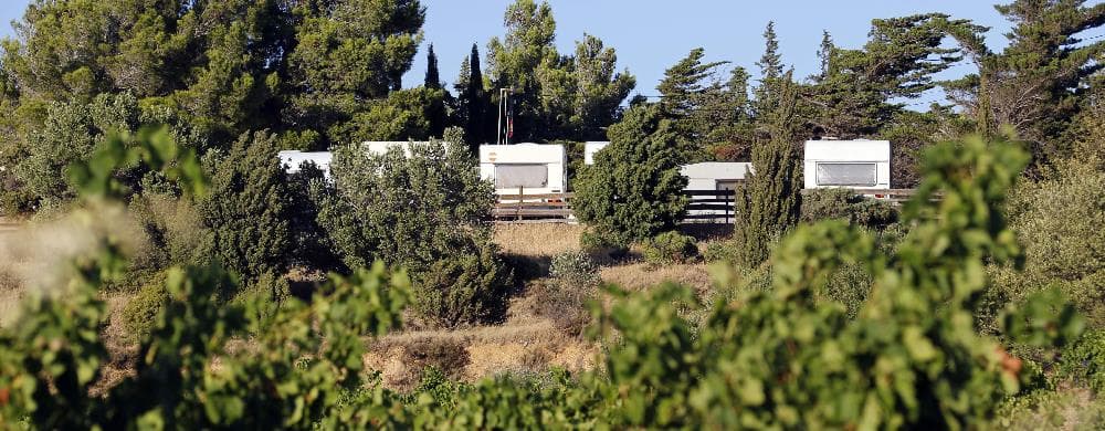A scenery from Camping Naturiste Le Clapotis