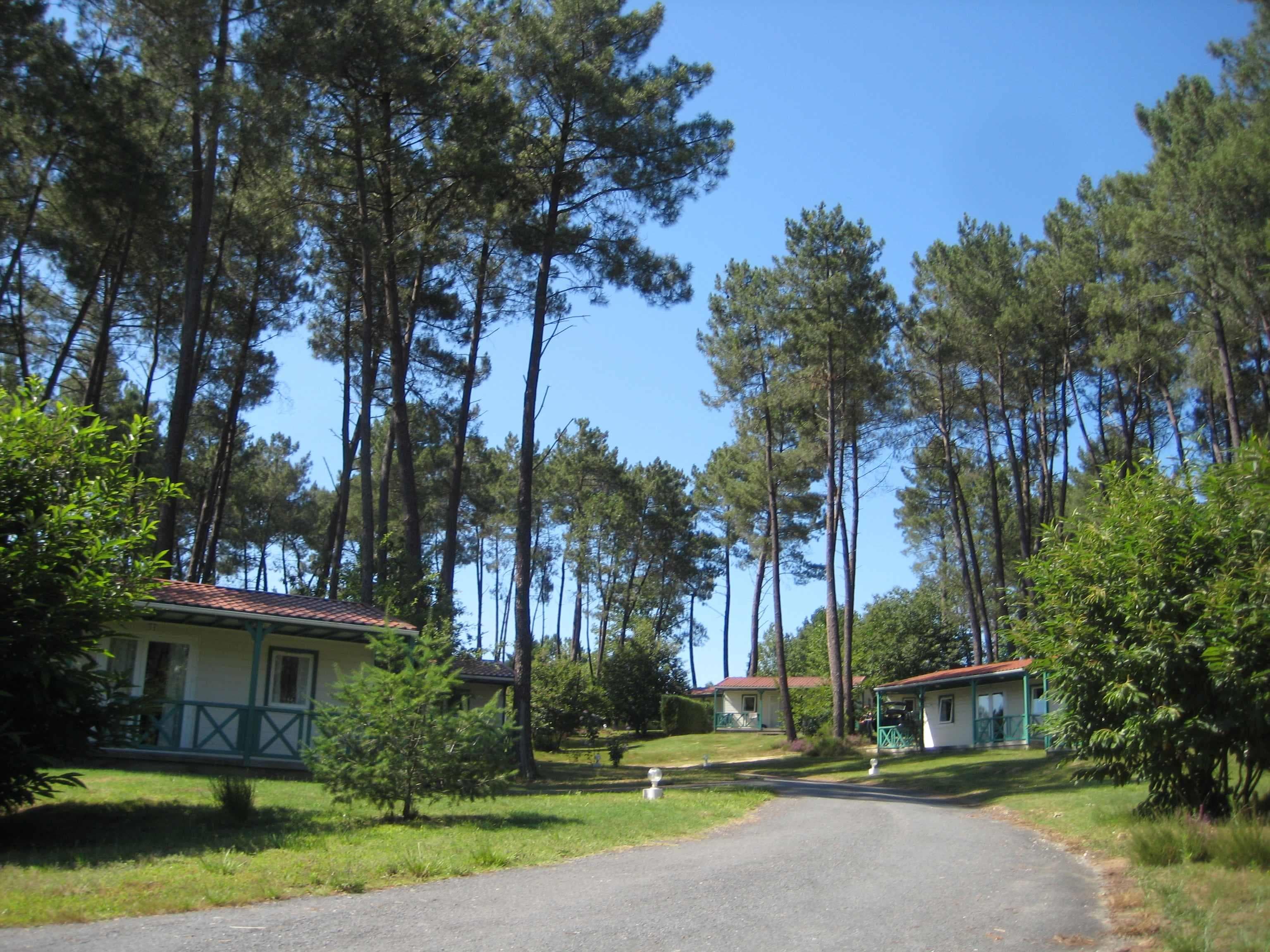 A scenery from Domaine des Grands Pins