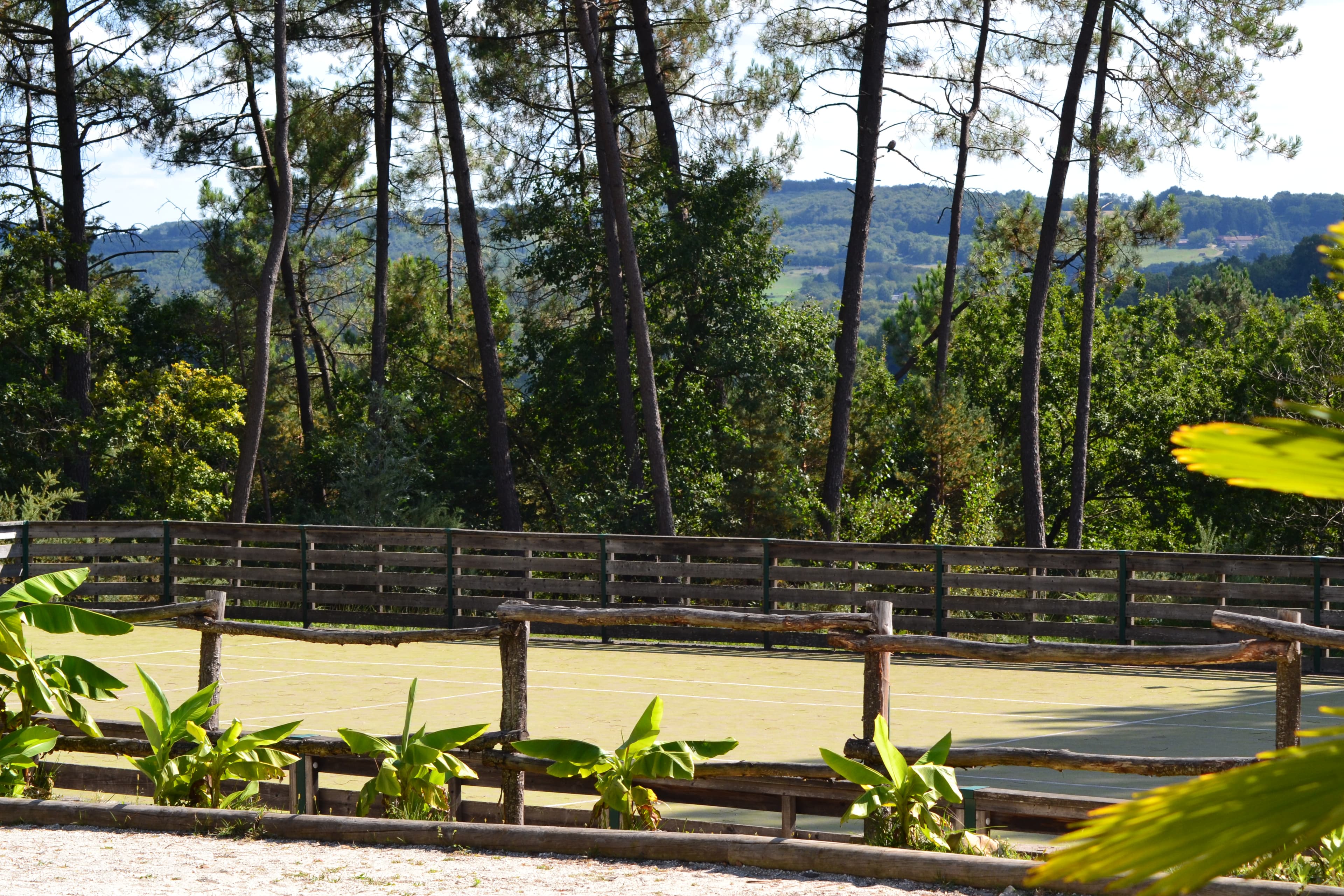 A scenery from Domaine des Grands Pins