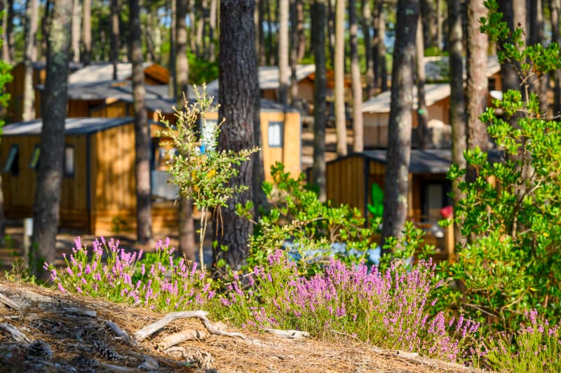 A scenery from Wellness Sport Camping Carcans