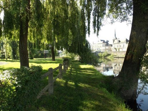 A scenery from Camping du Lion d'Angers