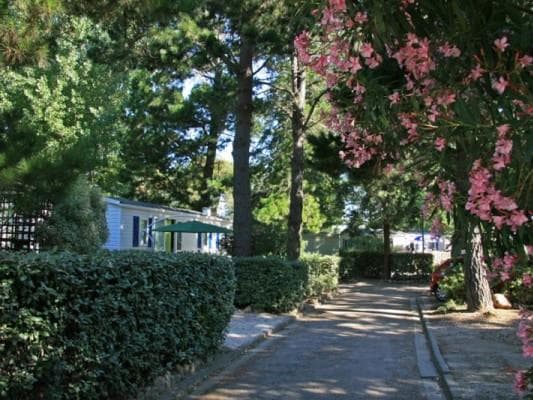 A scenery from Chadotel Les Jardins Catalans