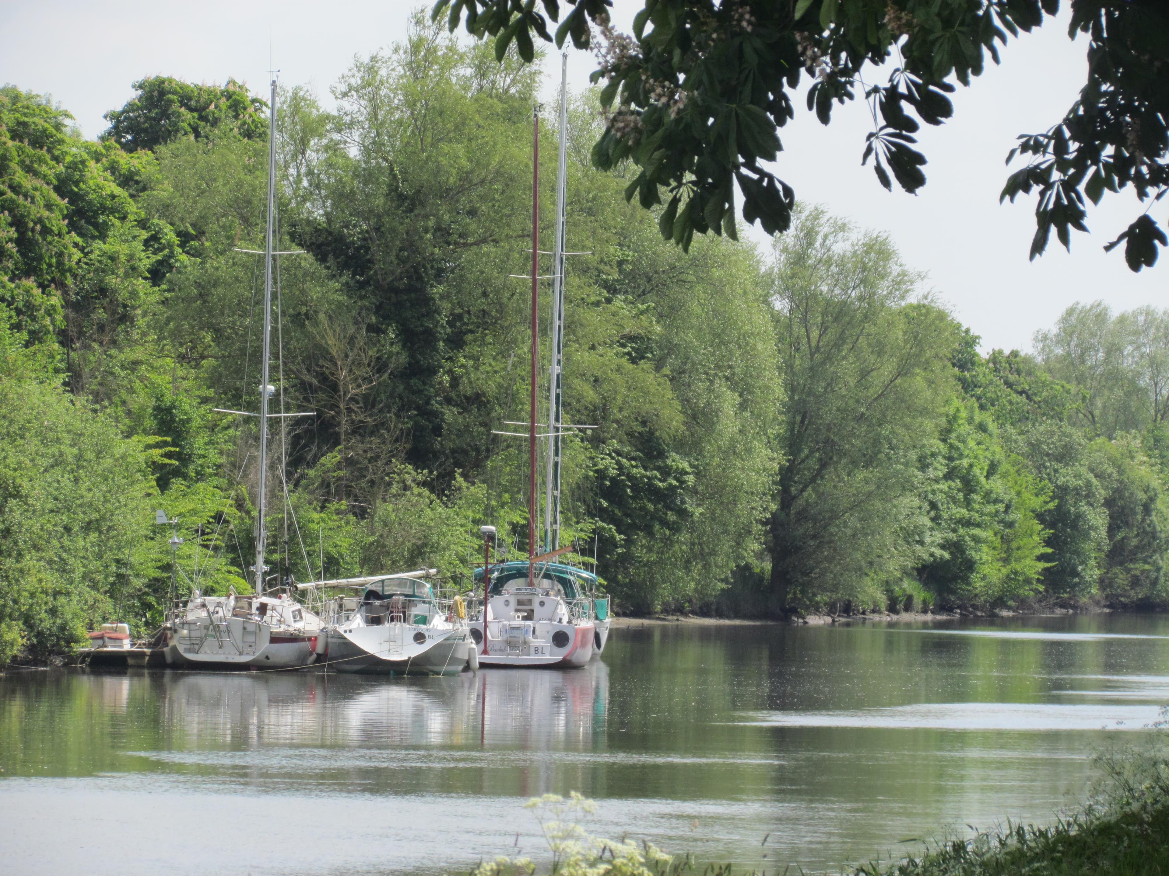 A scenery from Camping le Picardy