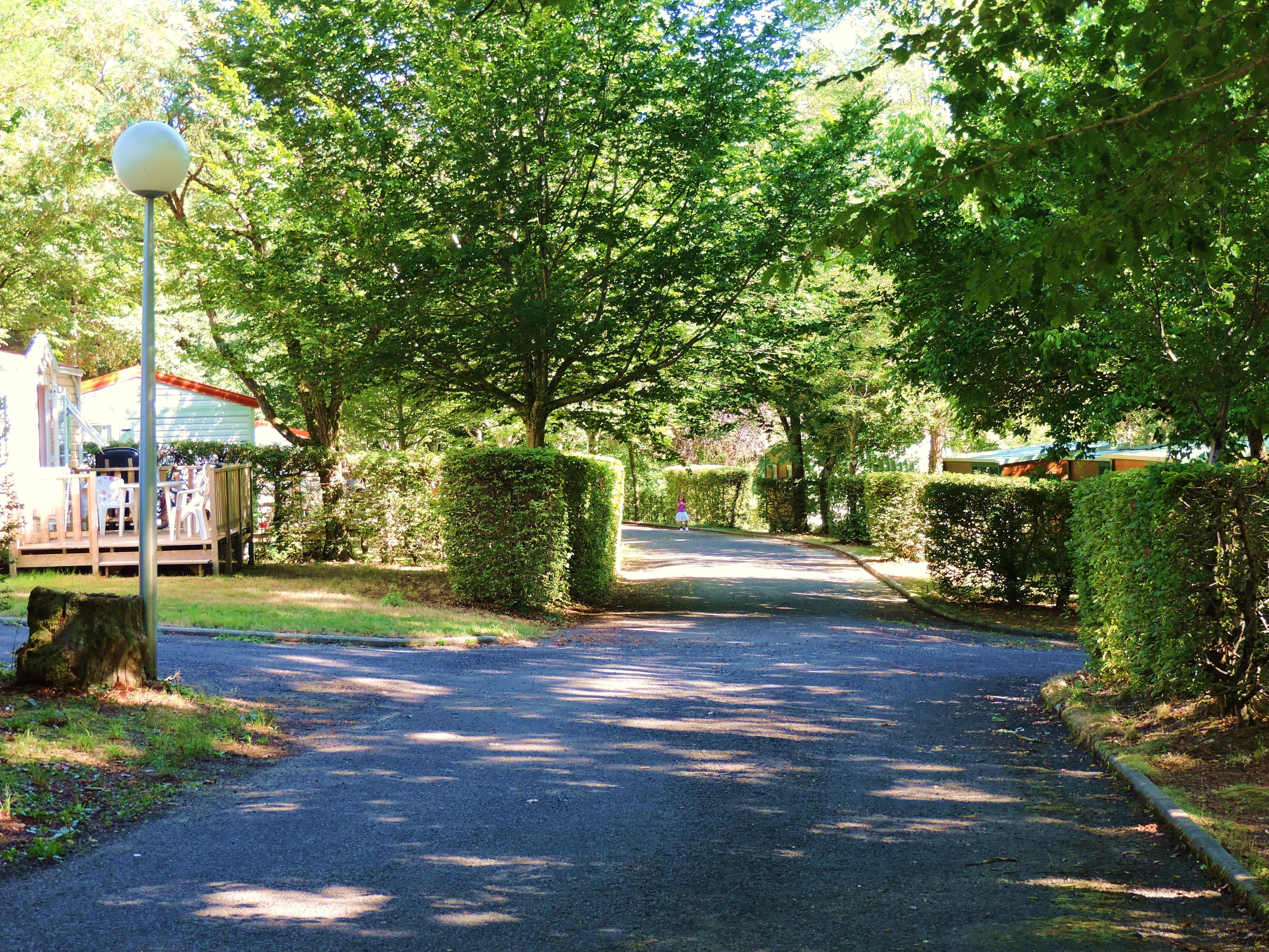 A scenery from Camping Domaine La Plage du Garoustel