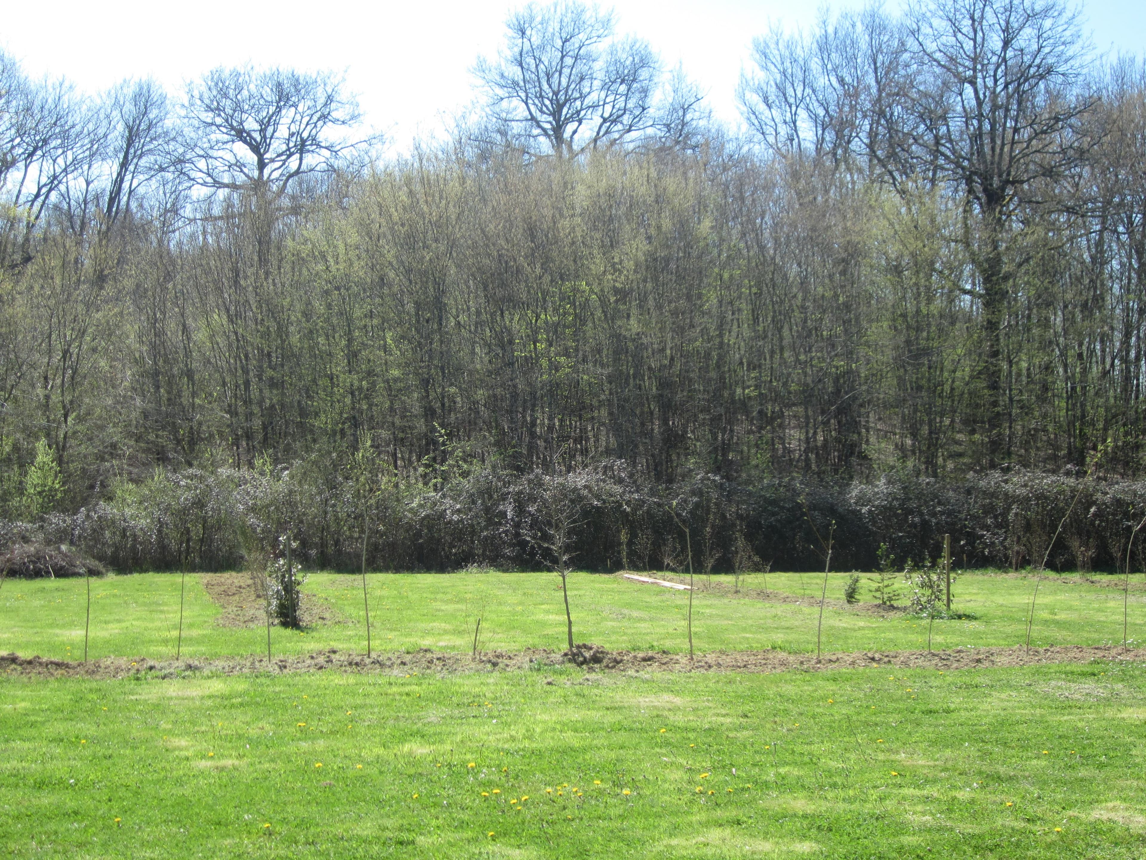 A scenery from L'Oseraie des Philiberts