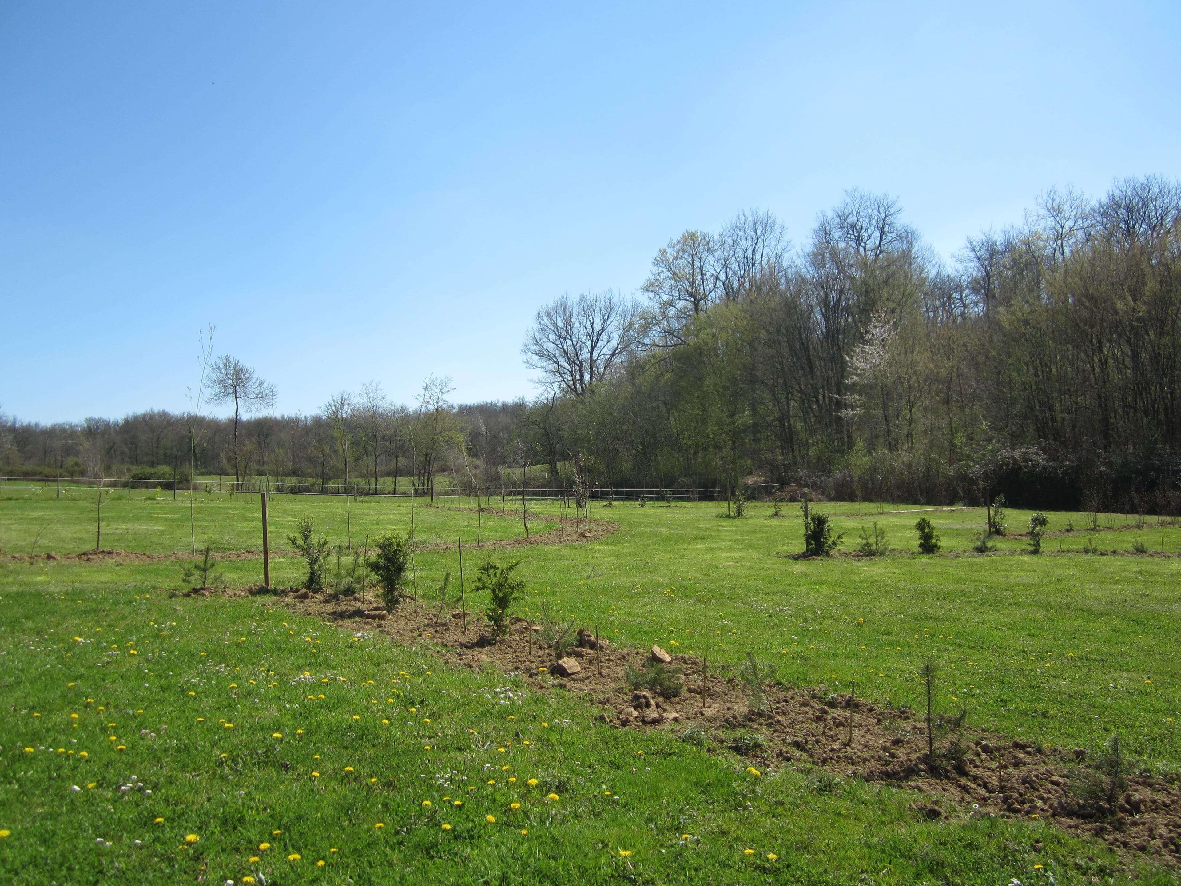 A scenery from L'Oseraie des Philiberts