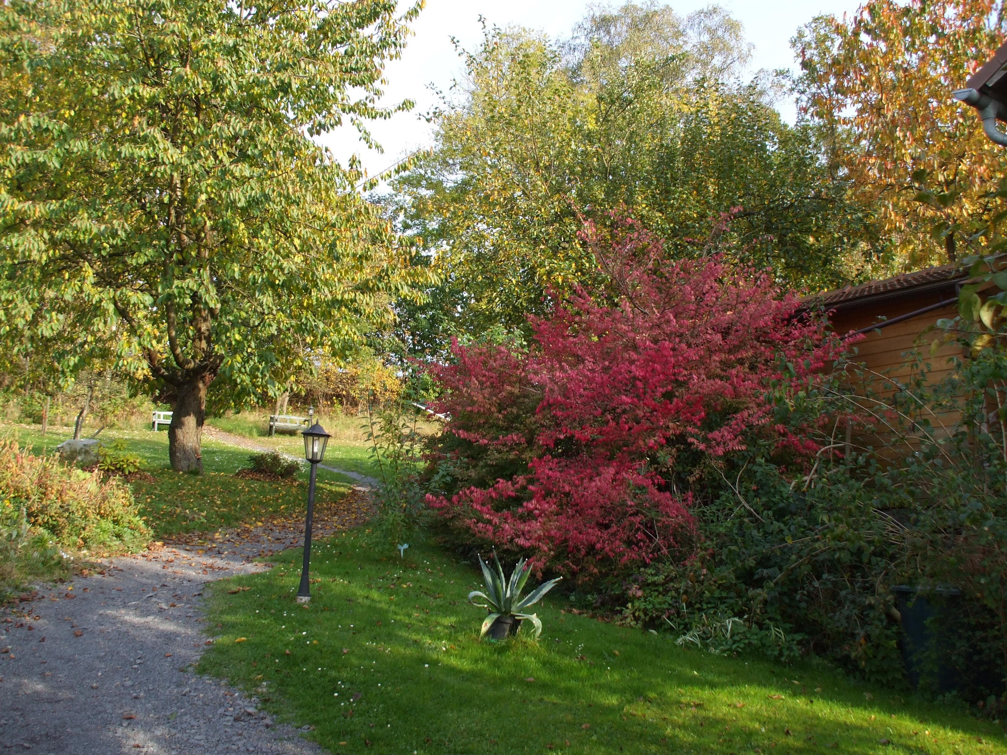 A scenery from Campingplatz Platzermühle