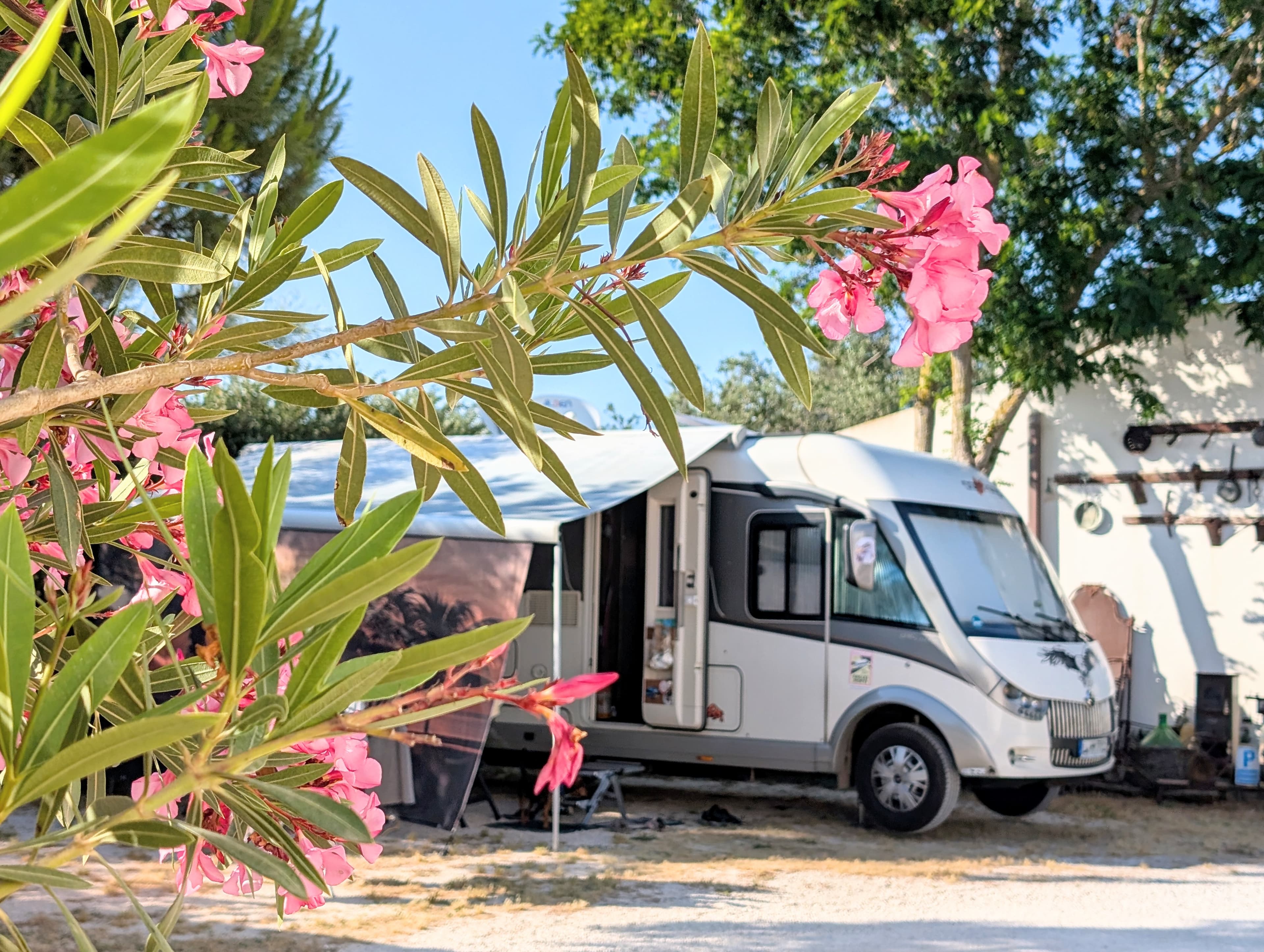 A scenery from Lilybeo Village - Camping & Residence
