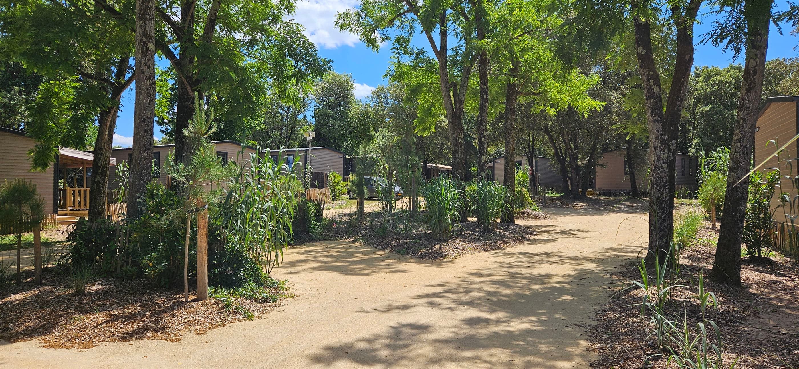 A scenery from Camping Le Bois Verdon