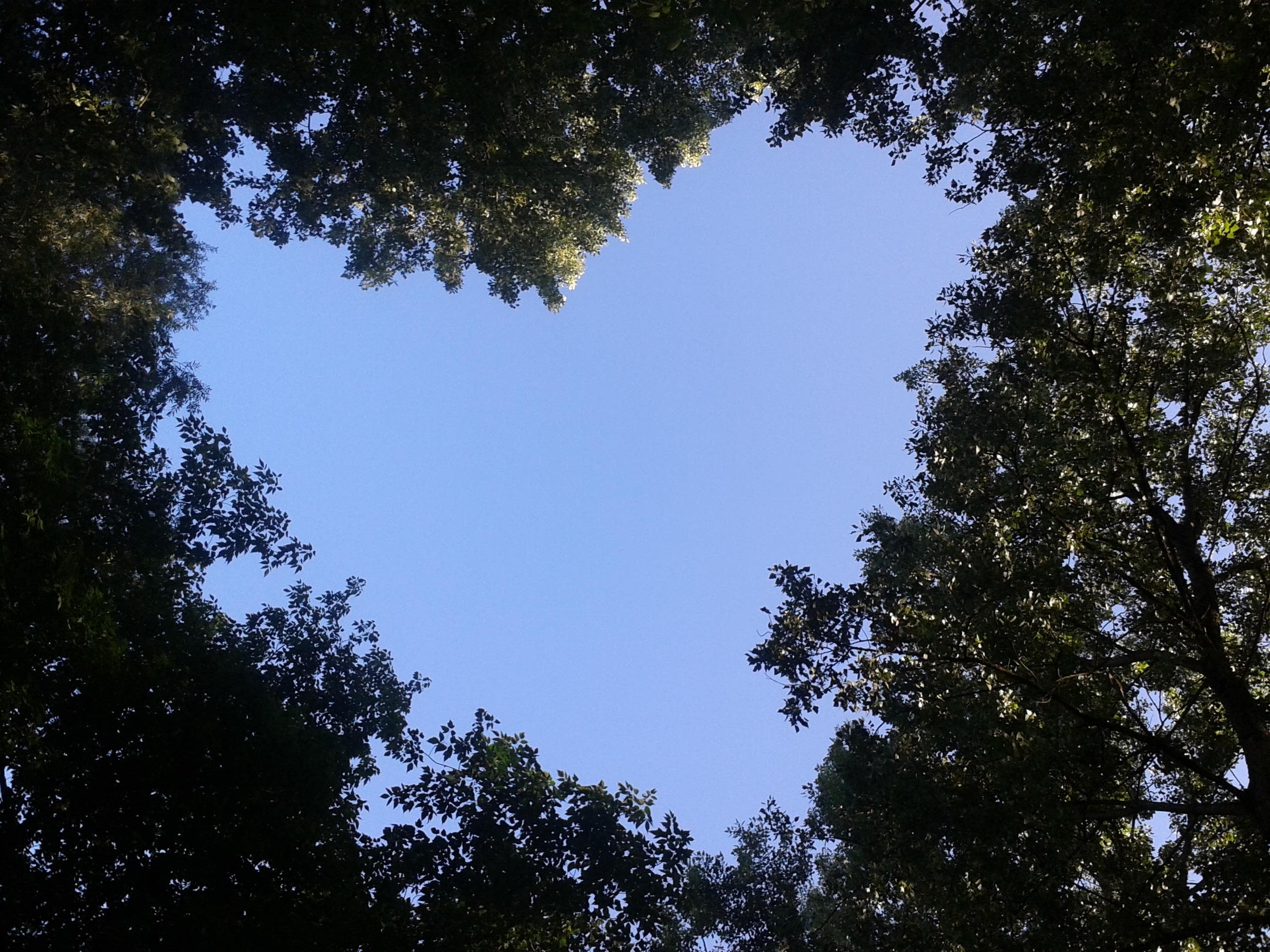 A scenery from Camping de l'Ile