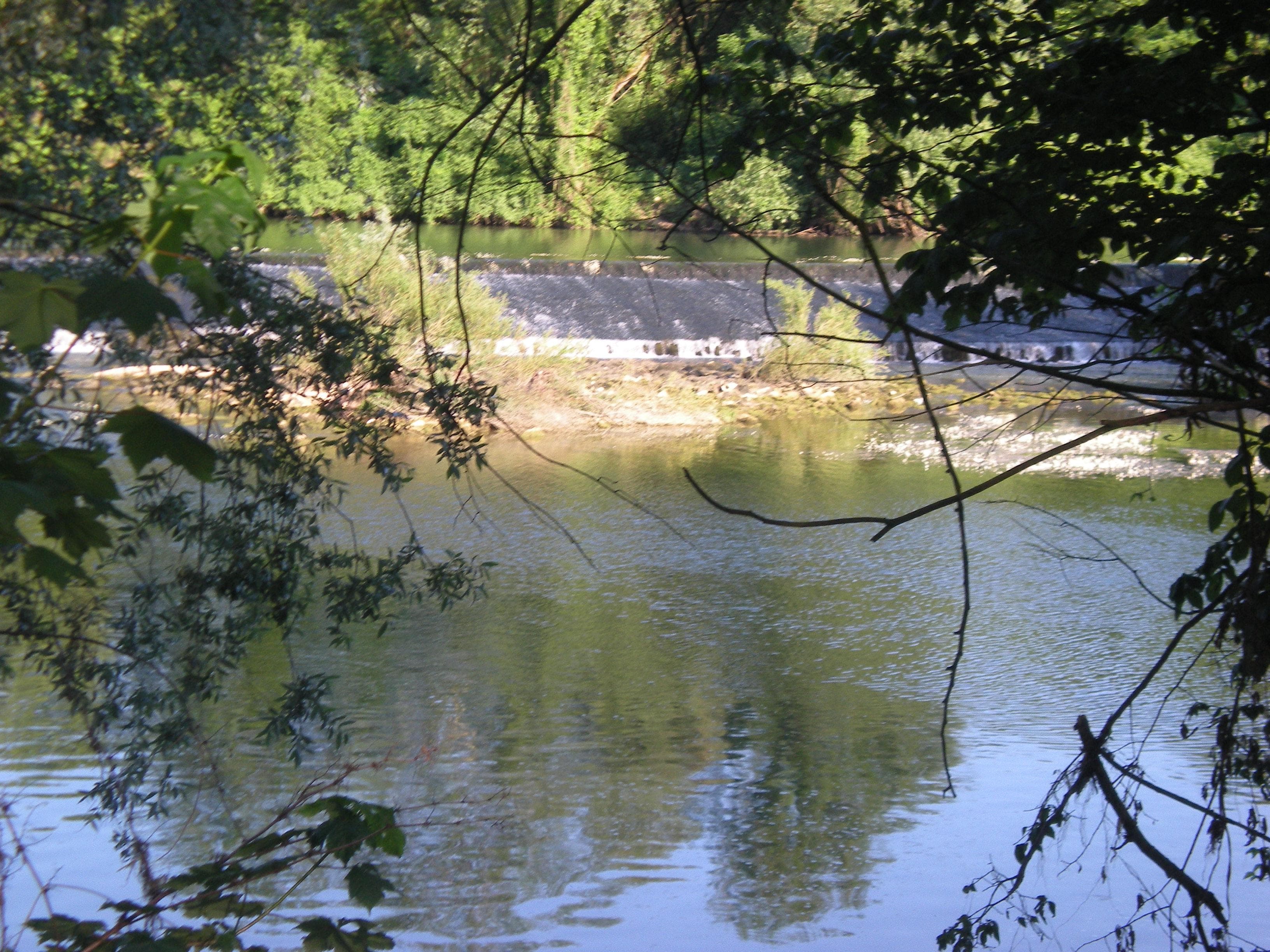 A scenery from Camping de l'Ile