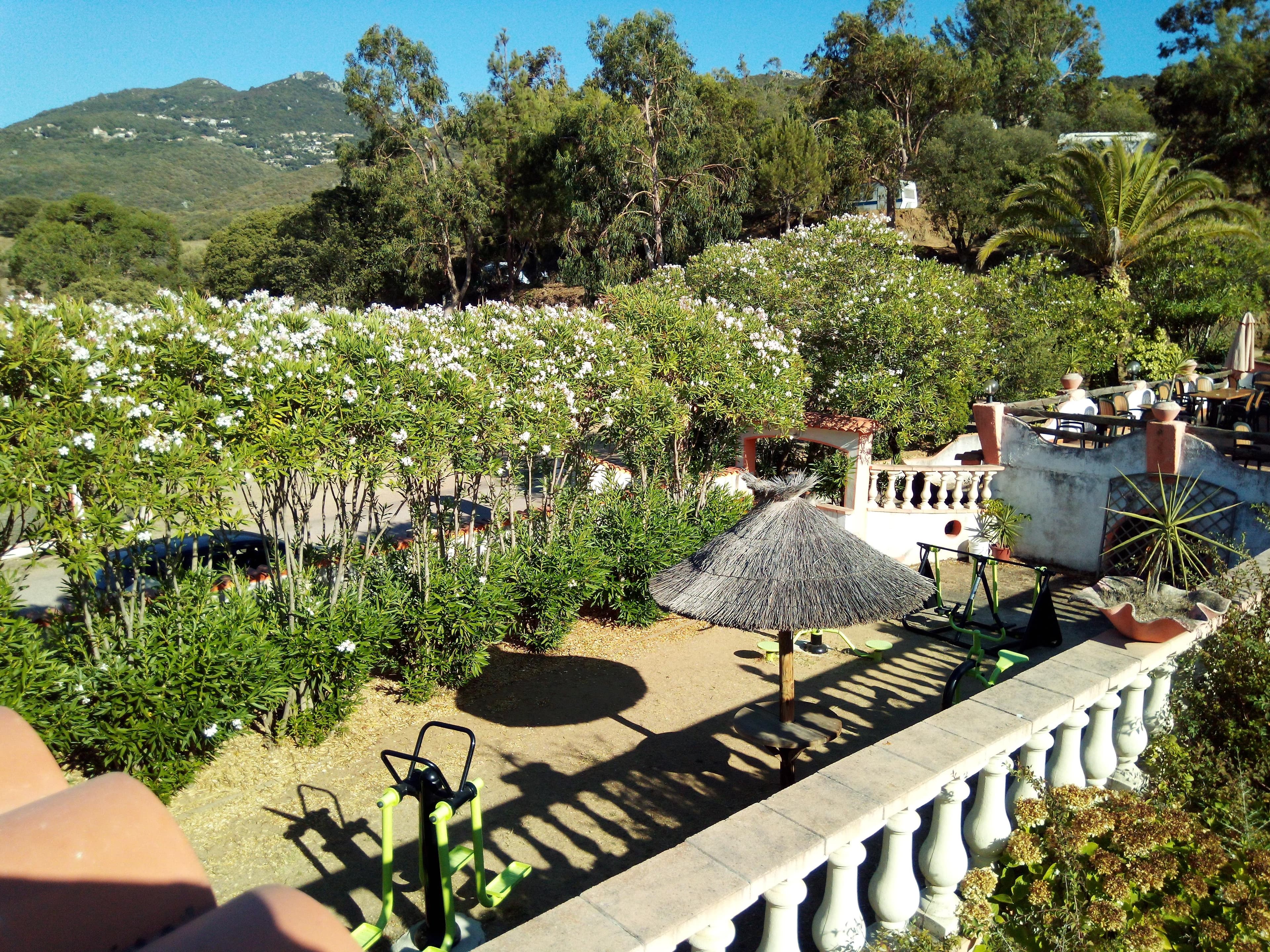 A scenery from Camping Tikiti