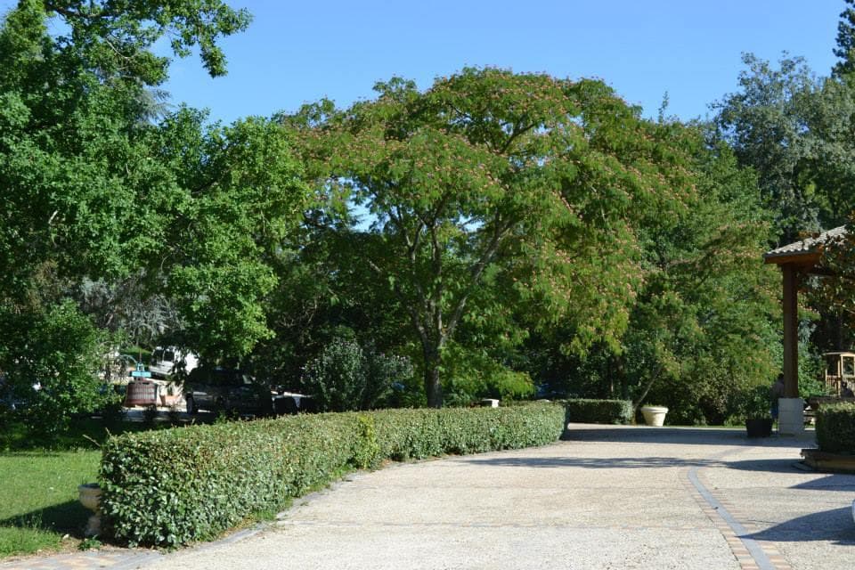 A scenery from Domaine du Moulin des Sandaux