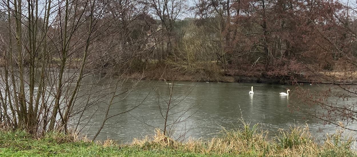A scenery from Camping Onlycamp Les Berges de l'Yonne