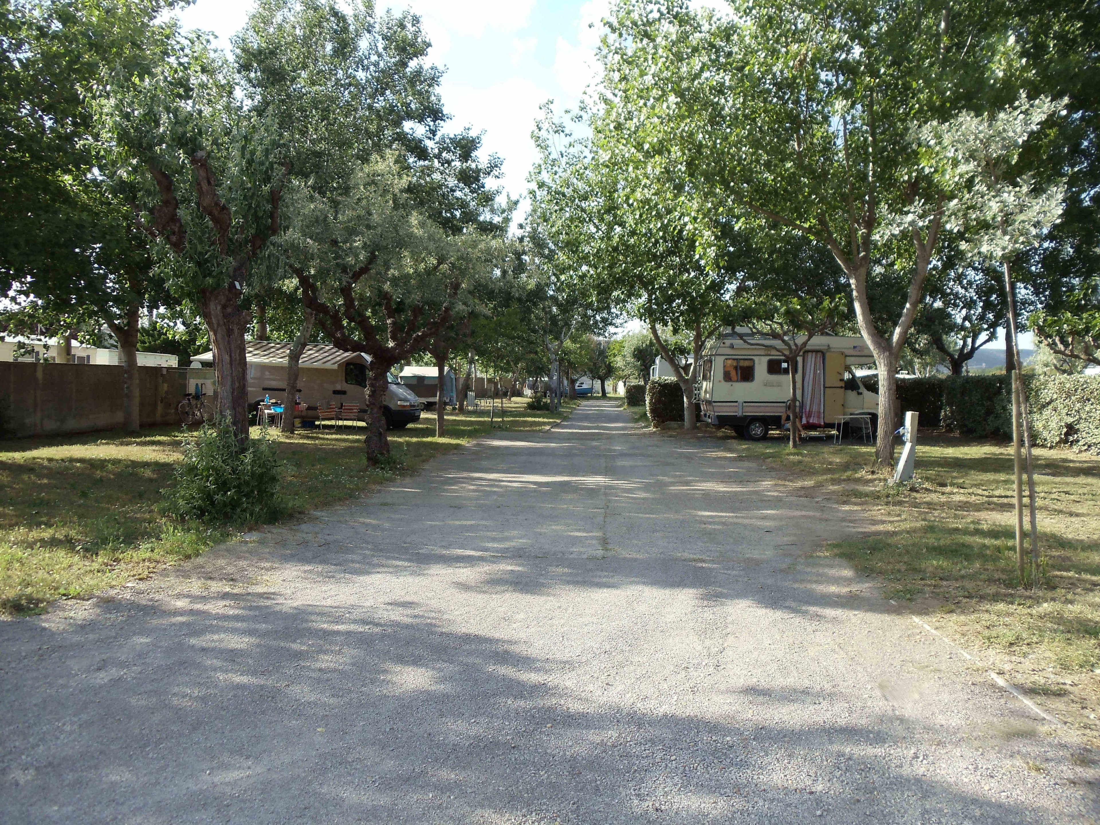 A scenery from Camping Mas de la Lagune
