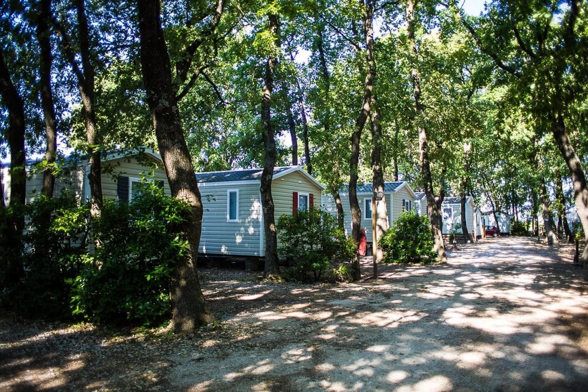 A scenery from Camping Le Bois des Ecureuils