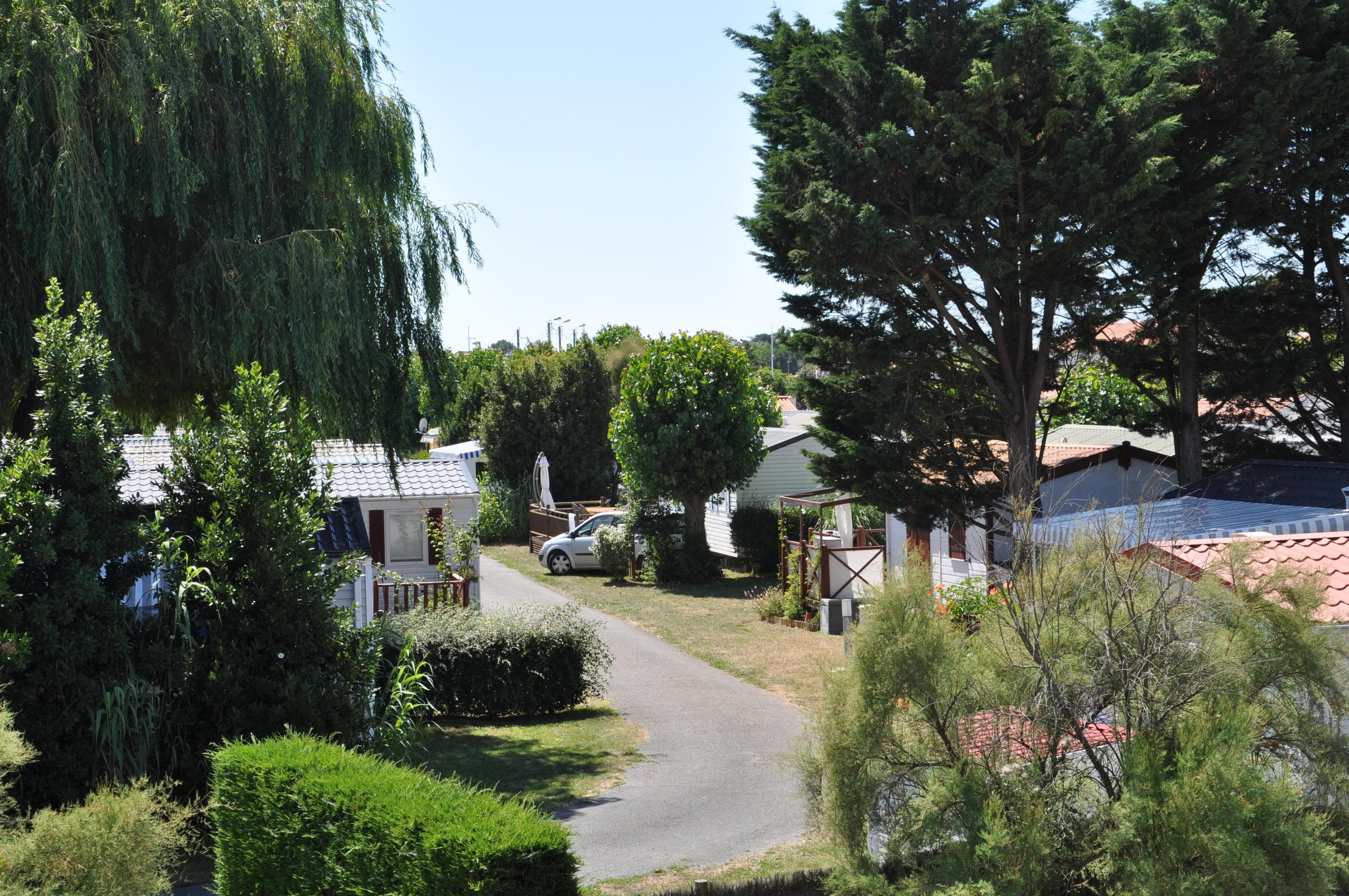A scenery from Camping Fautais