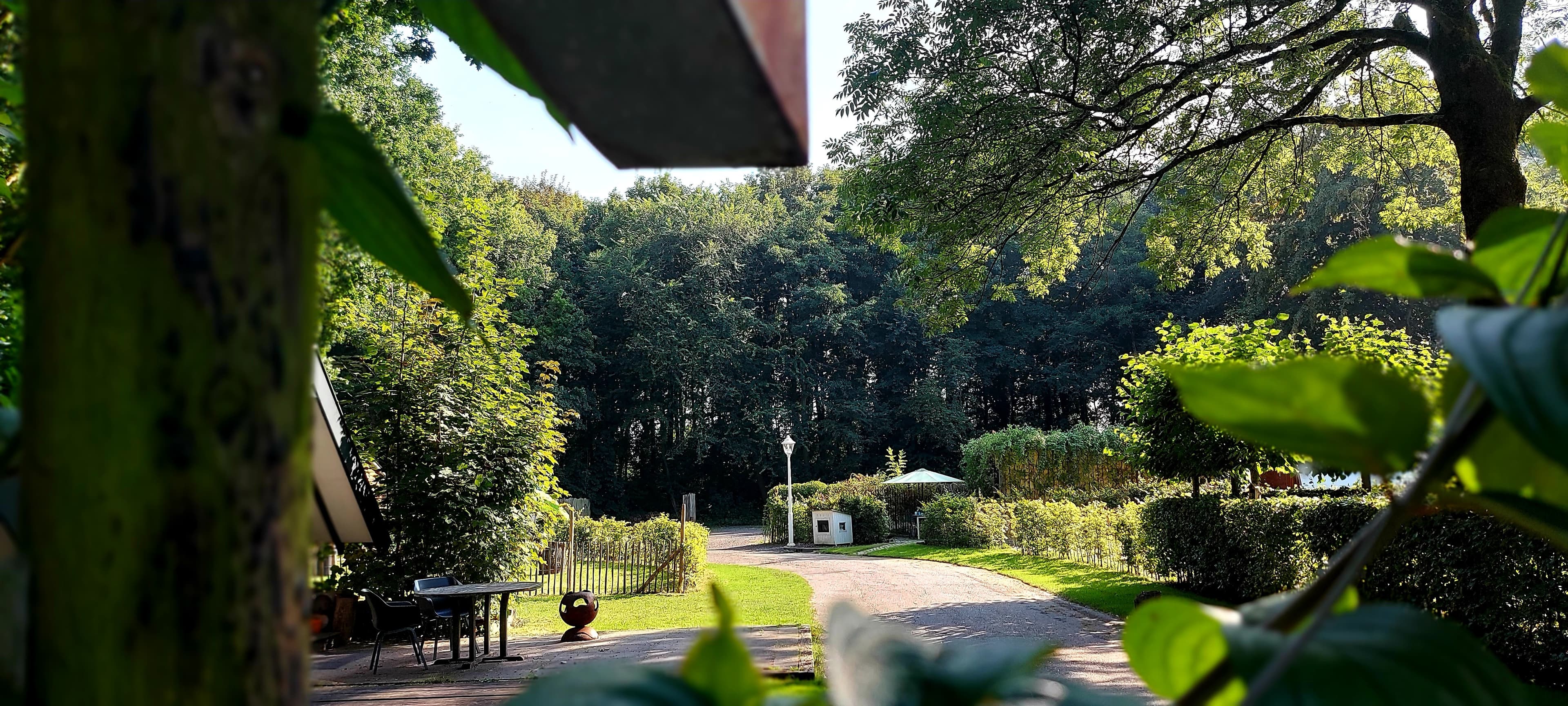 A scenery from Buytenplaets Suydersee