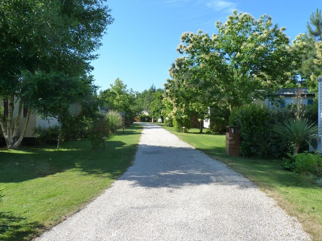 A scenery from Domaine la Résinière