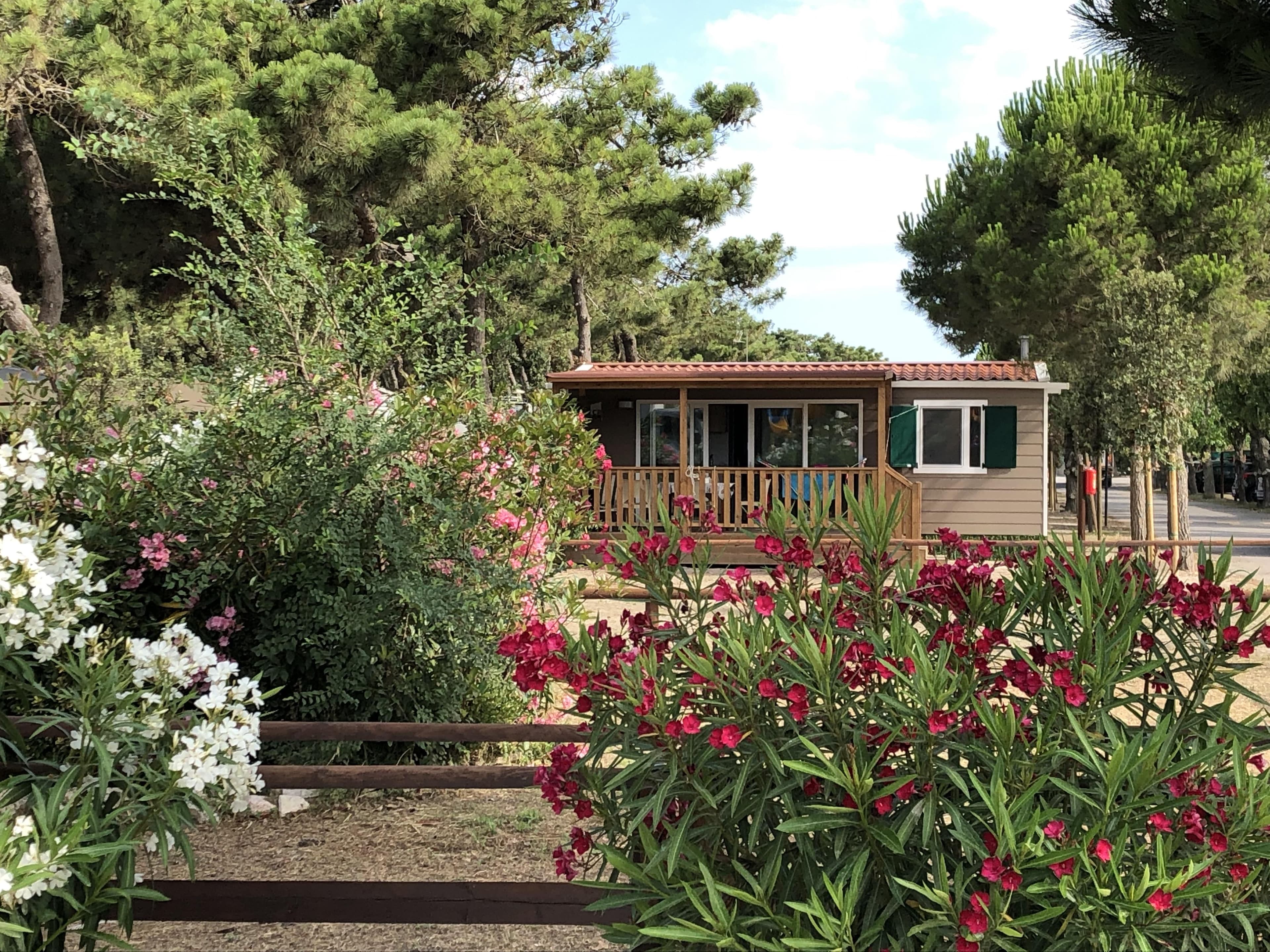 A scenery from Camping Vittoria