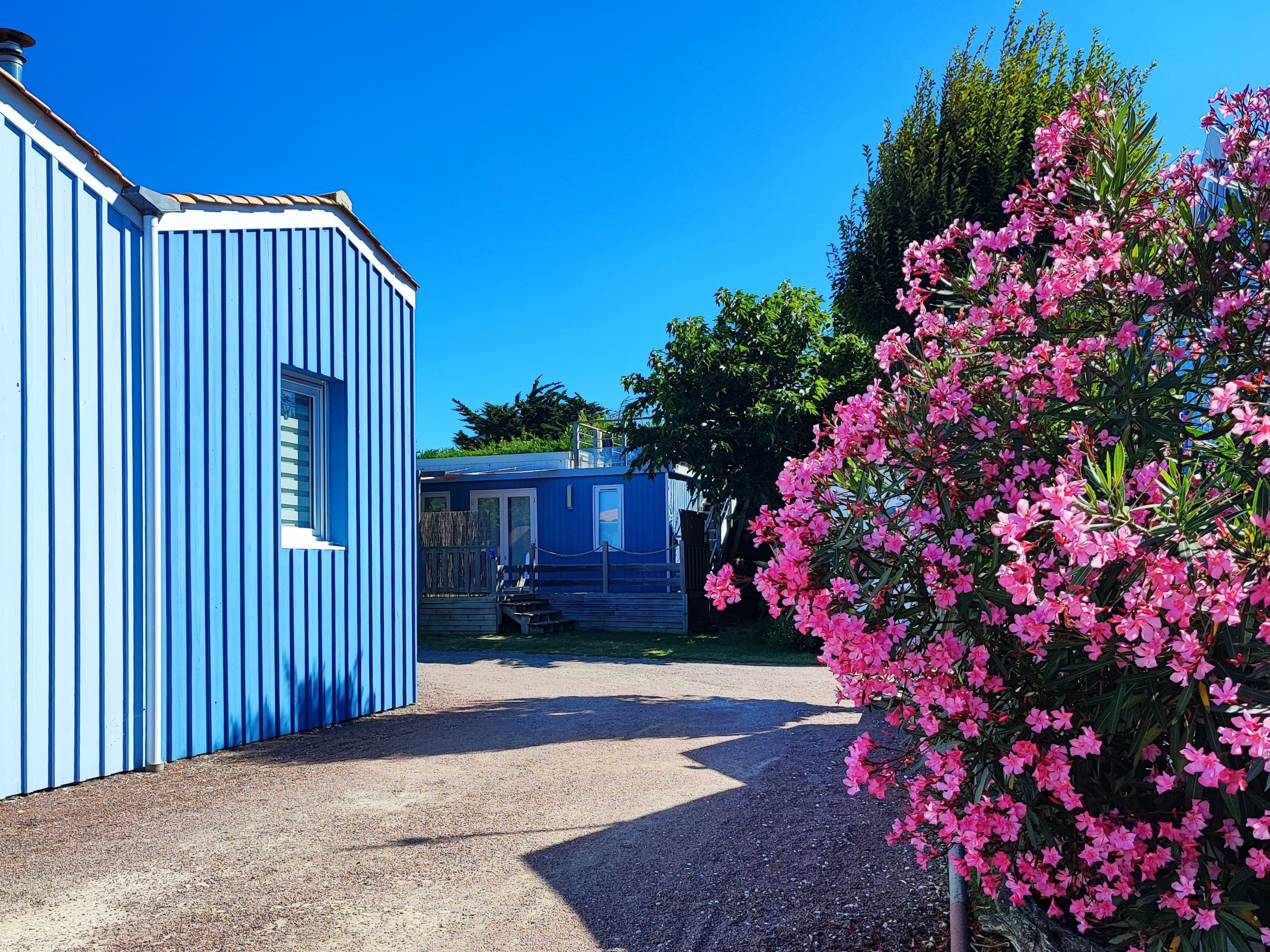 A scenery from Camping le Sabia