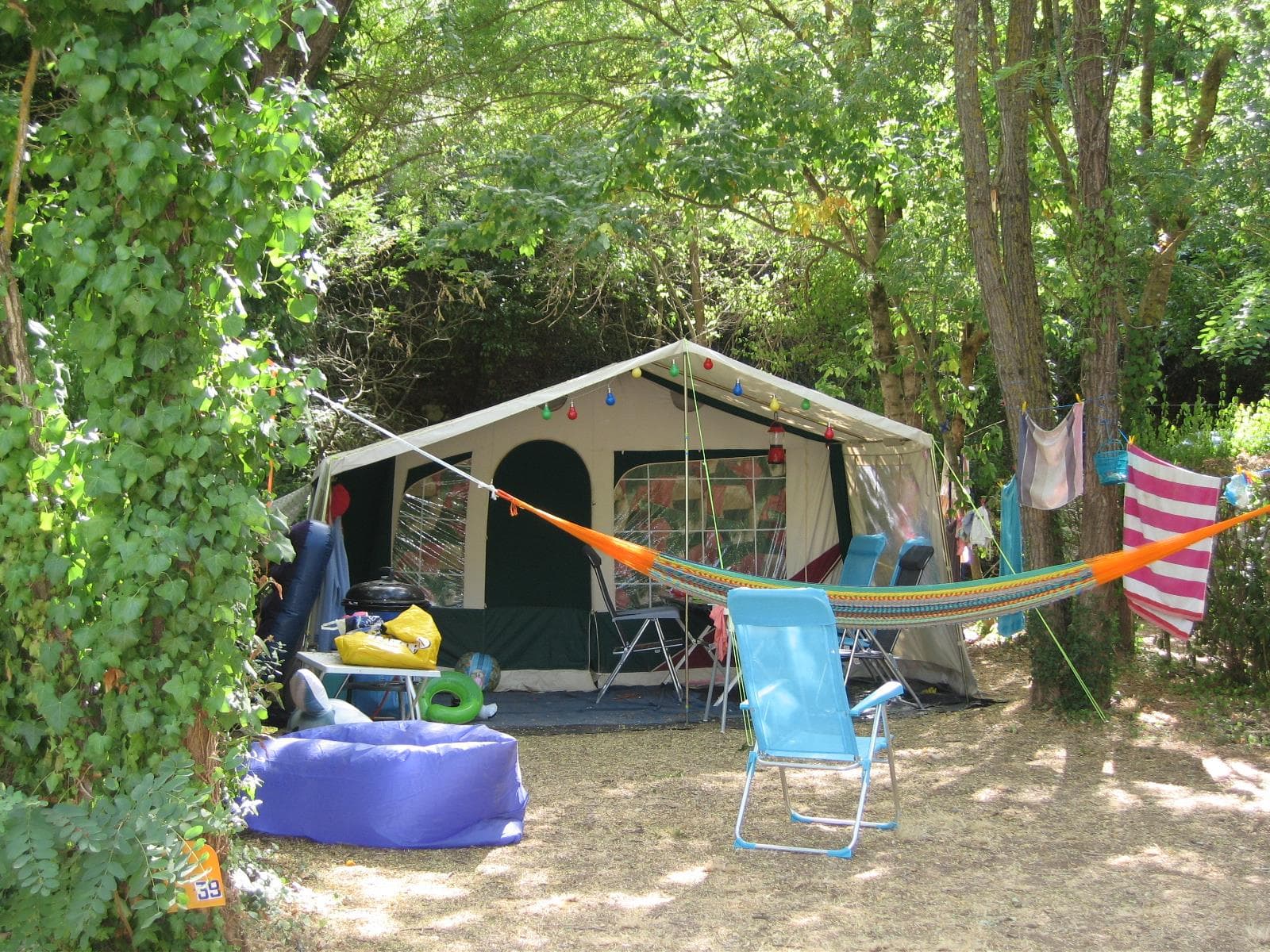A scenery from Flower Camping les Tomasses