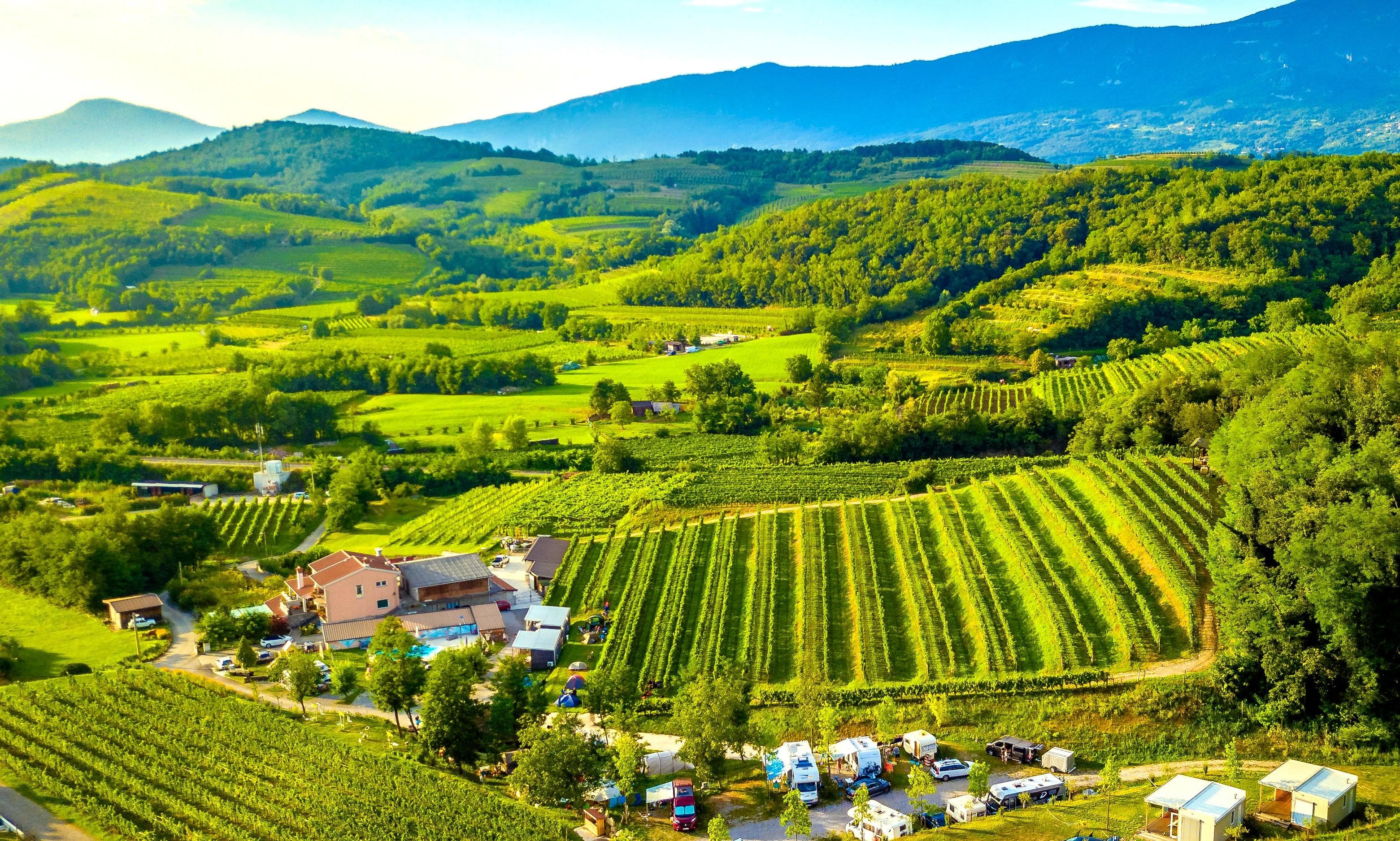 A scenery from Saxida Wine & Camping Resort