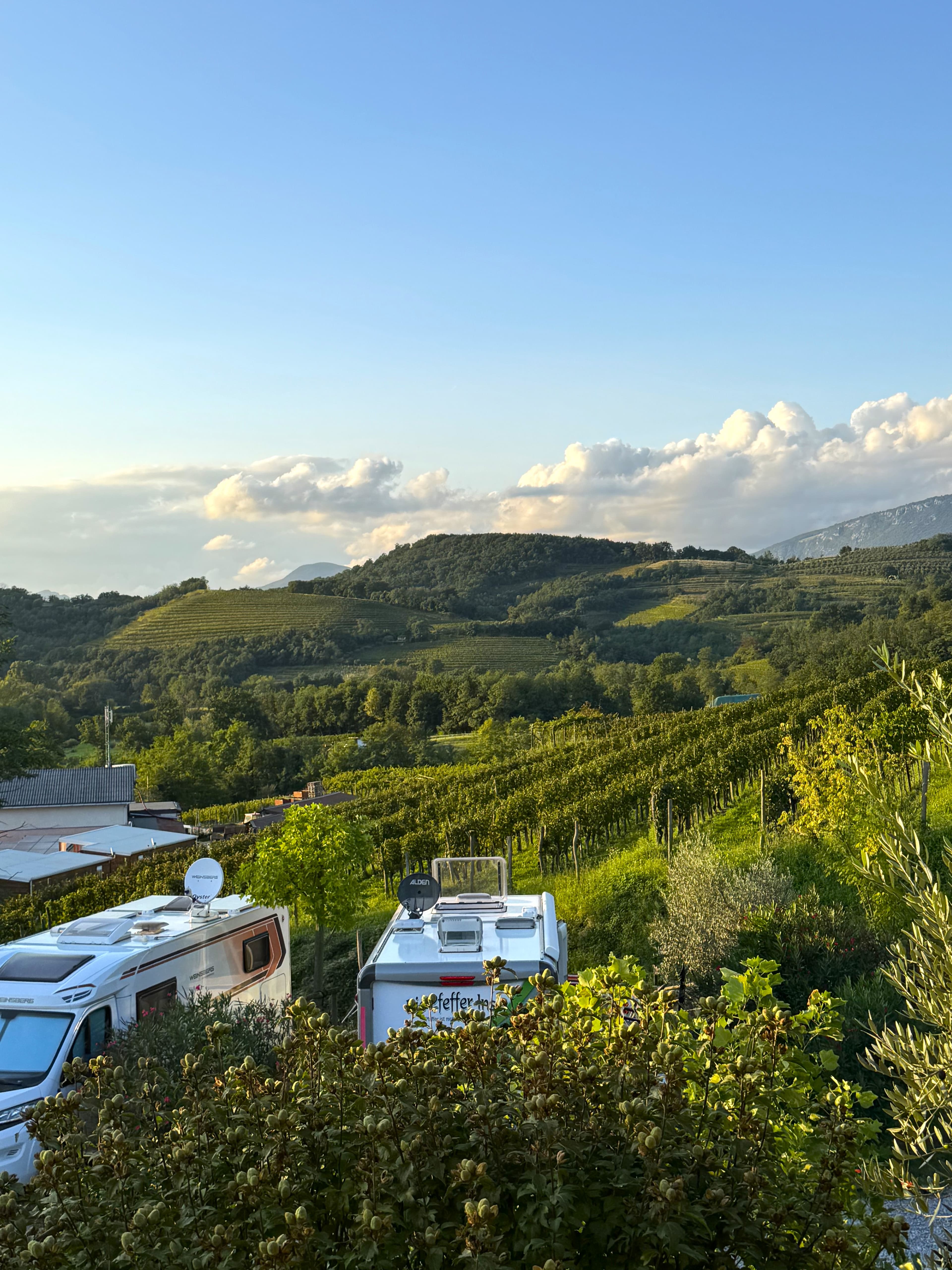 A scenery from Saxida Wine & Camping Resort