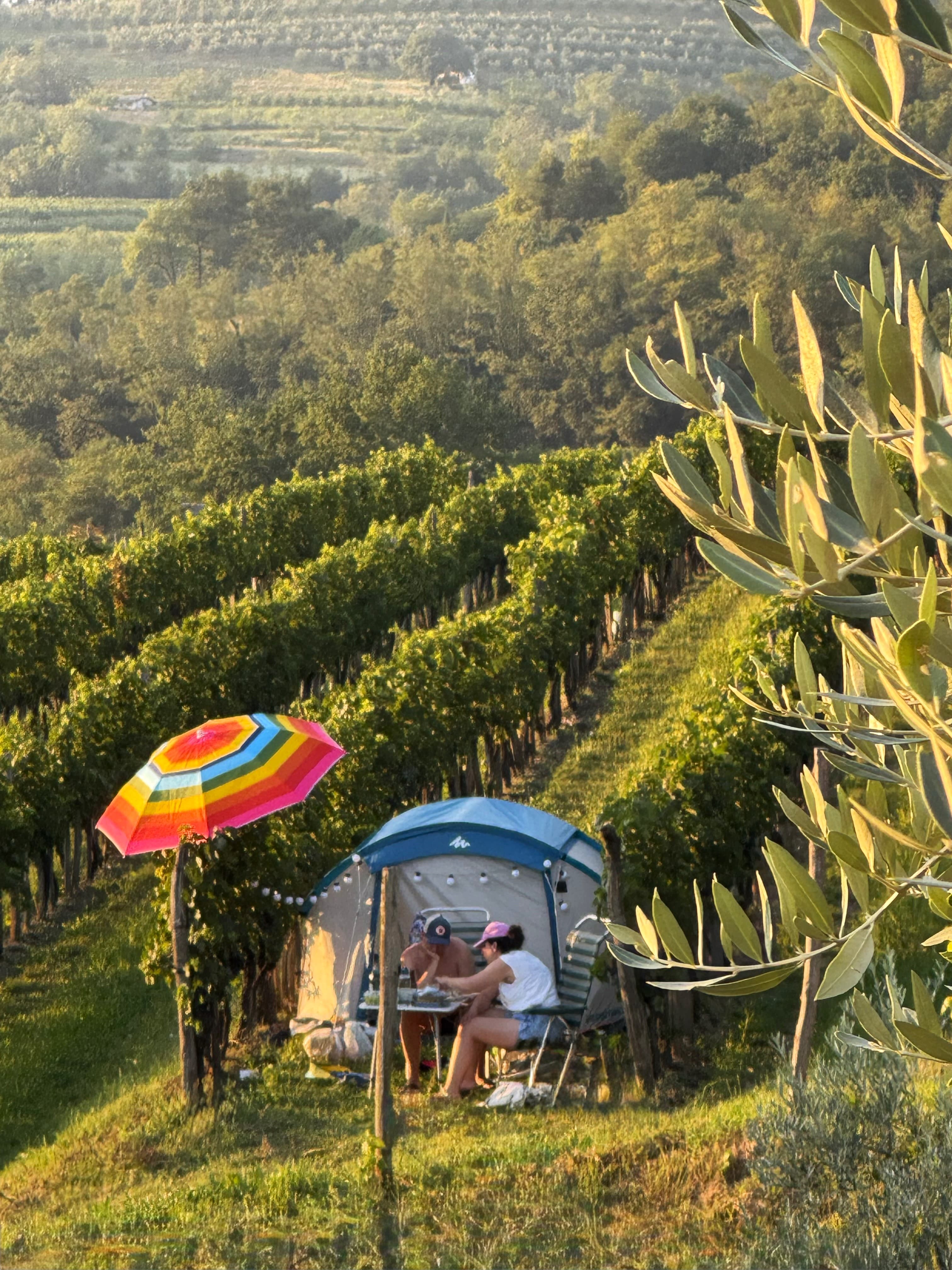 A scenery from Saxida Wine & Camping Resort