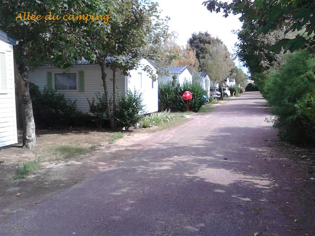A scenery from Plein Air Locations - camping Les Tamaris