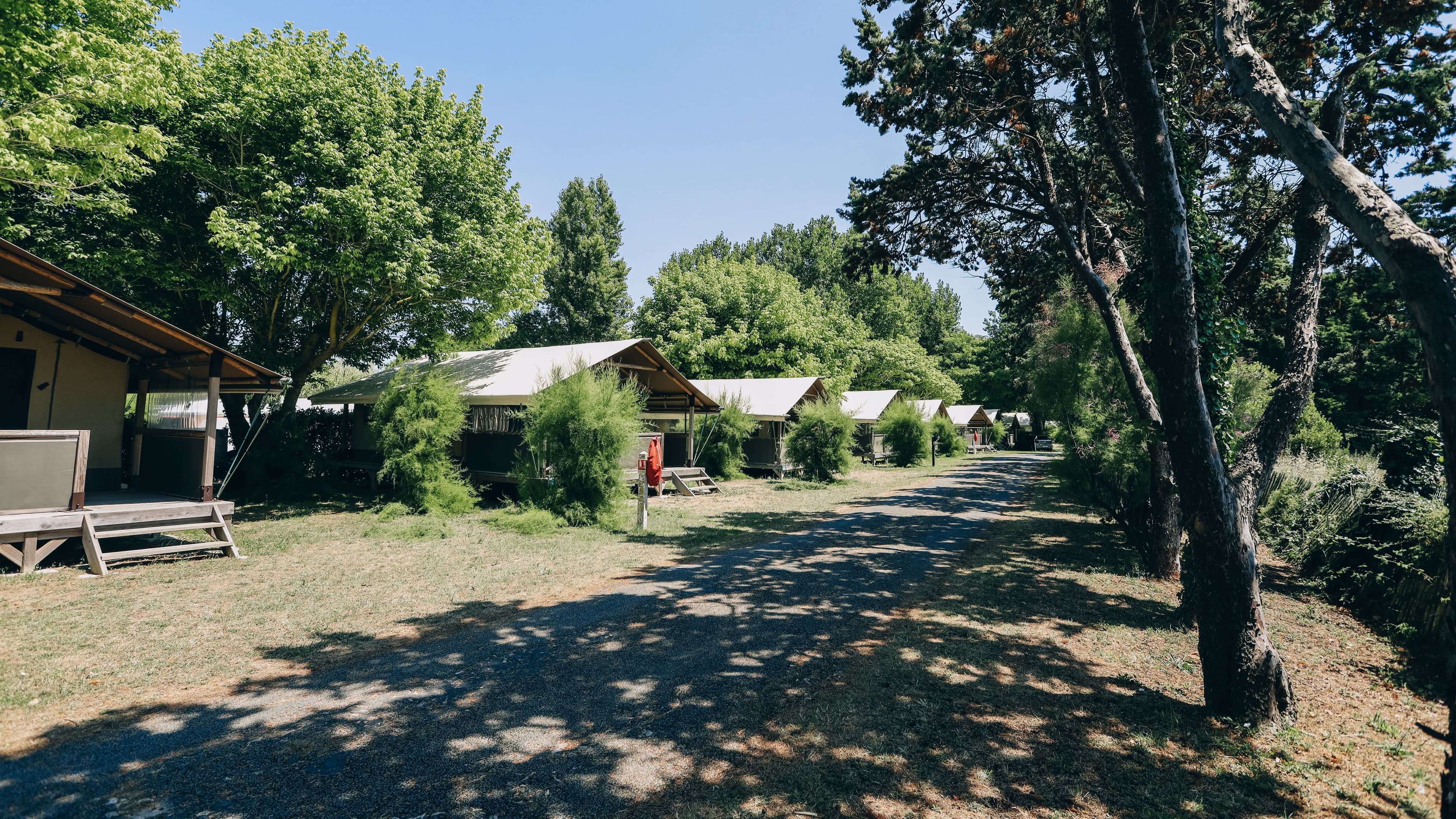 A scenery from Camping Seasonova Ile de Ré