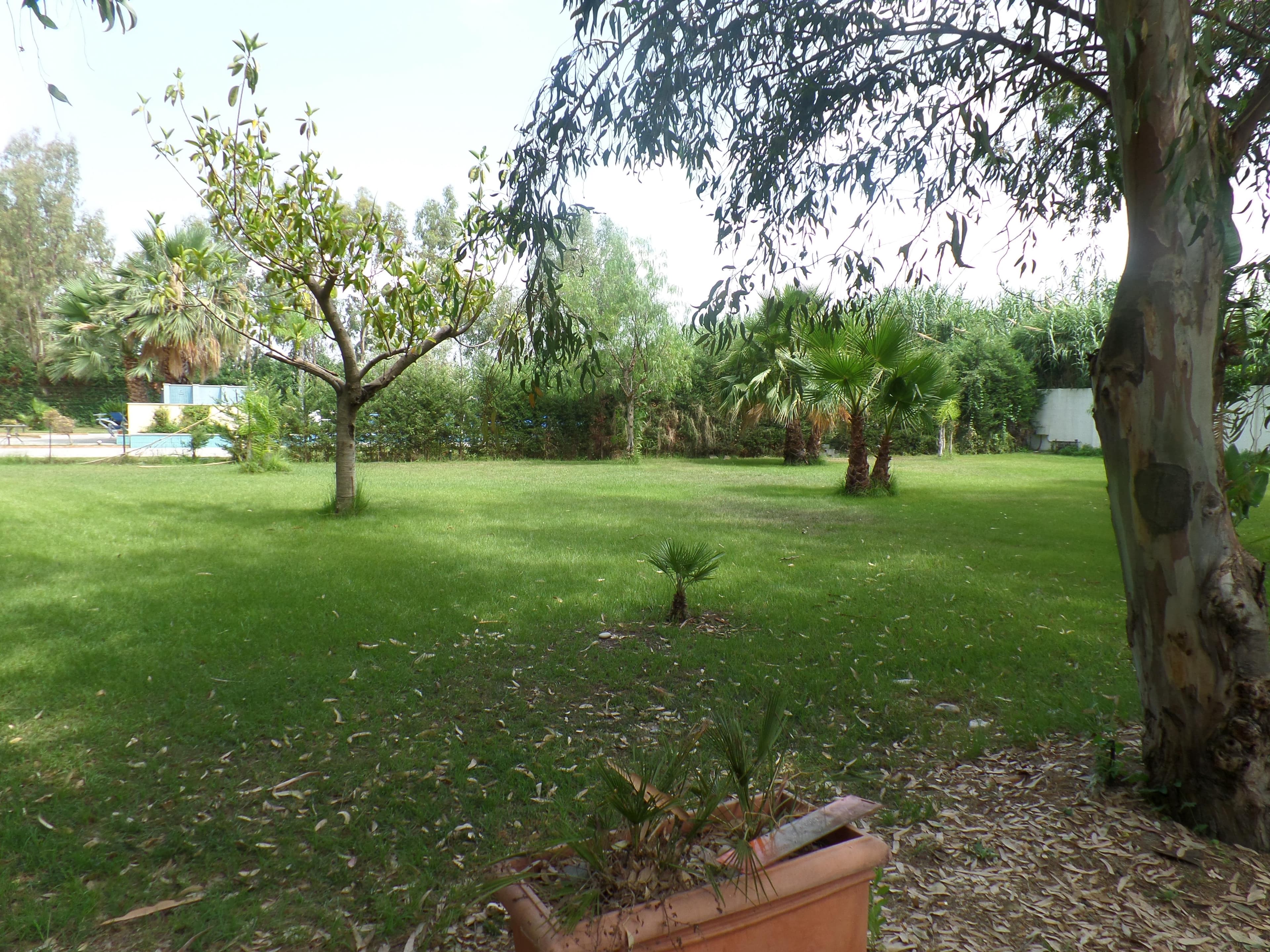 A scenery from Batuca Village & Camping